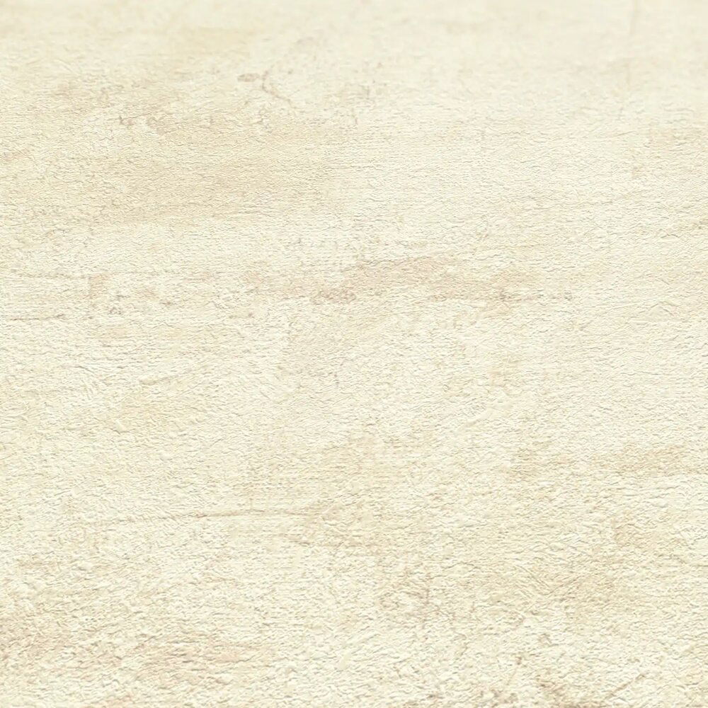             Strukturtapete mit hellbeiger Putz-Optik – Beige, Braun
        