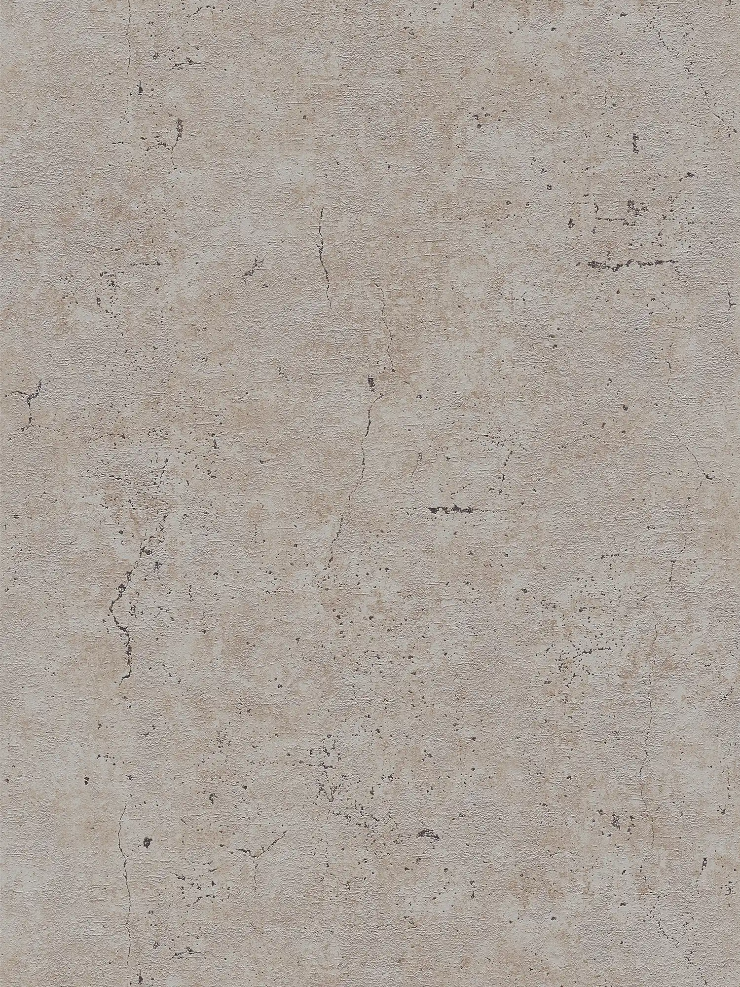             Wallpaper concrete look rustic in industrial style - grey, brown
        