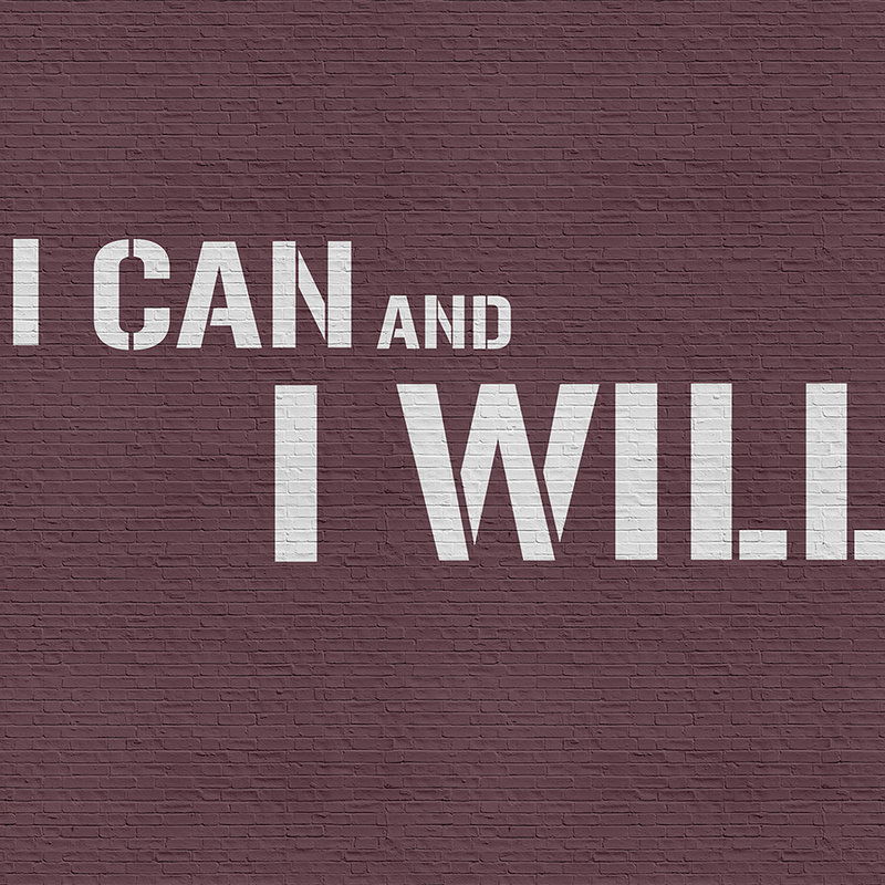 Gebäude, Kastanienbraun, Mauer, Textur, Text