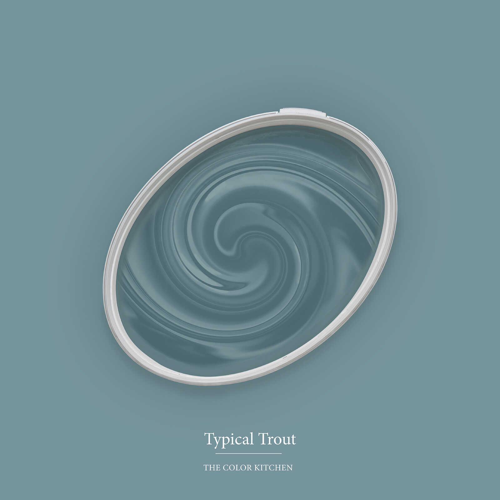         Wandfarbe in hellem Blaugrau »Typical Trout« TCK3010 – 2,5 Liter
    