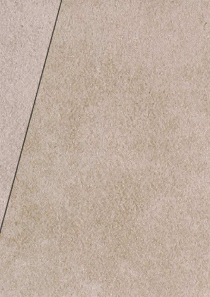             Tapeten-Neuheit | Putzoptik Motivtapete bunte Facetten, Colour Block Grafik
        