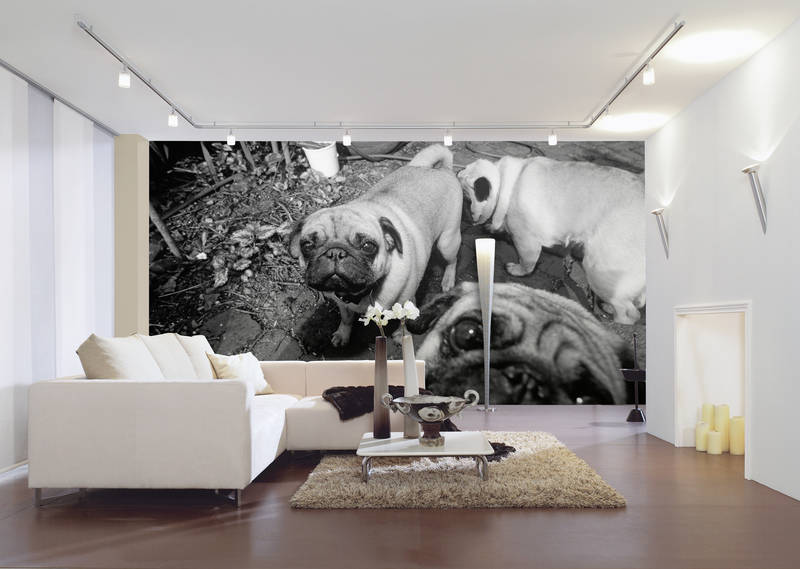 hund mural, mops künstler, schwarz-weißer wandbild, wohnzimmer dekoration, tier wandkunst