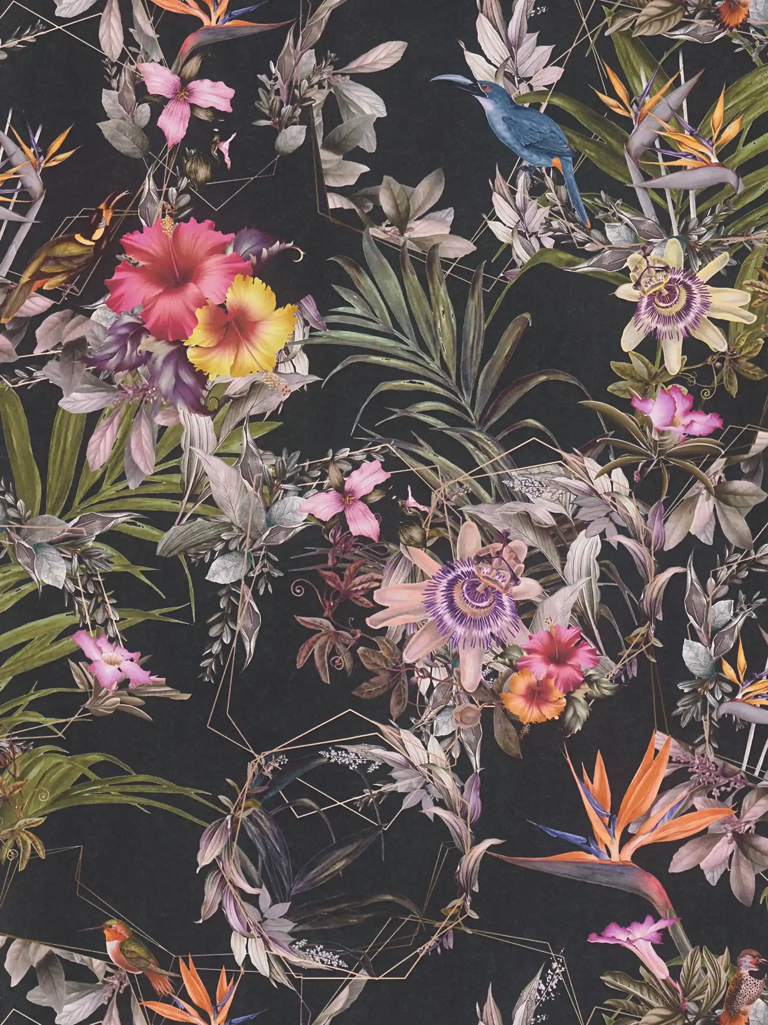 Dark floral wallpaper hibiscus & leaves - colourful, black