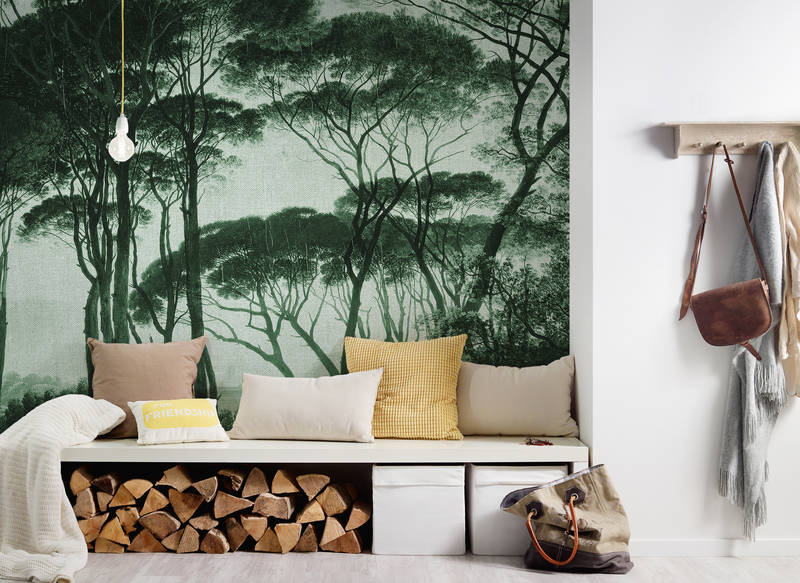 Kissen, Dekoration für Zuhause, Drinnen, Innenarchitektur