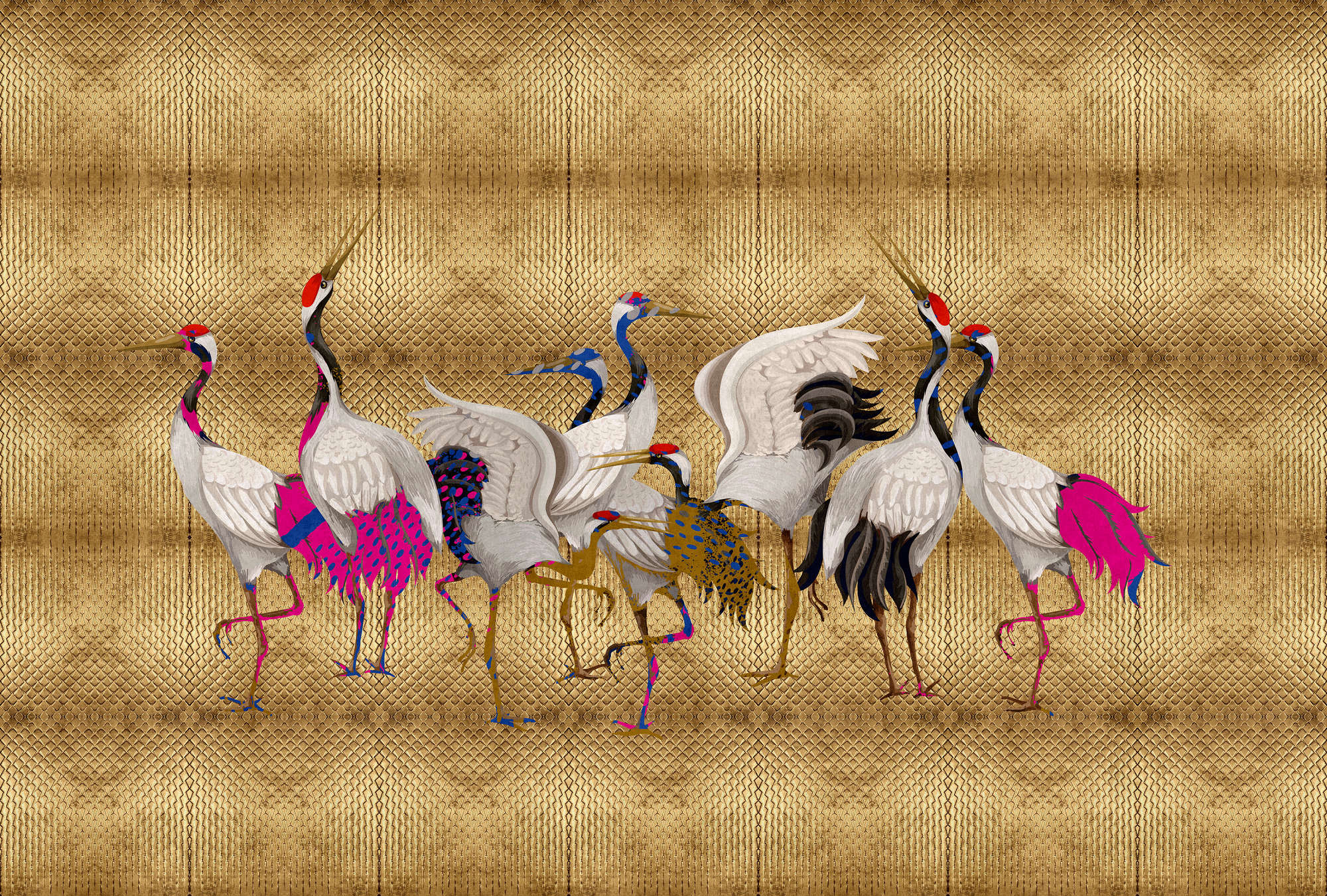 Tier, Vogel, Kranich, Vogel, Wasservögel