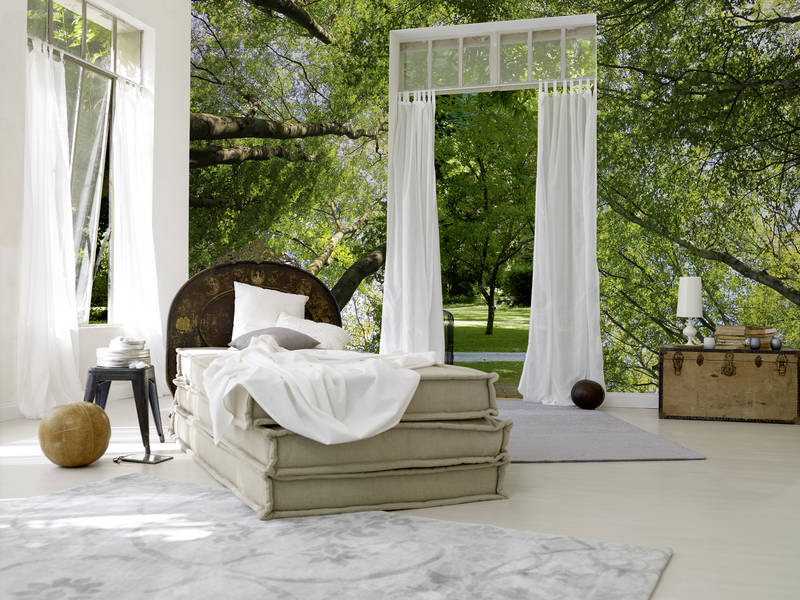             Blätterdach Fototapete mit Laubwald Baumwipfeln
        