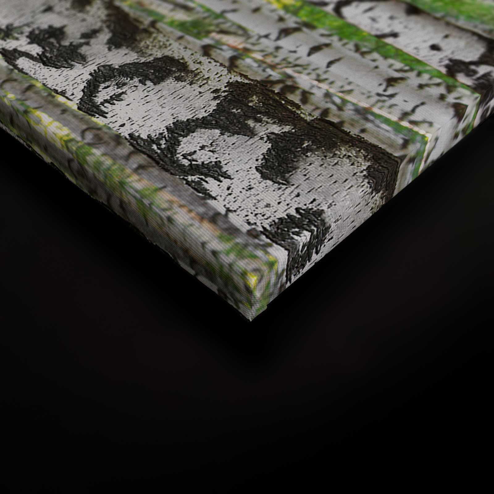             Birkenwald Leinwandbild Baumstamm Motiv – 0,90 m x 0,60 m
        