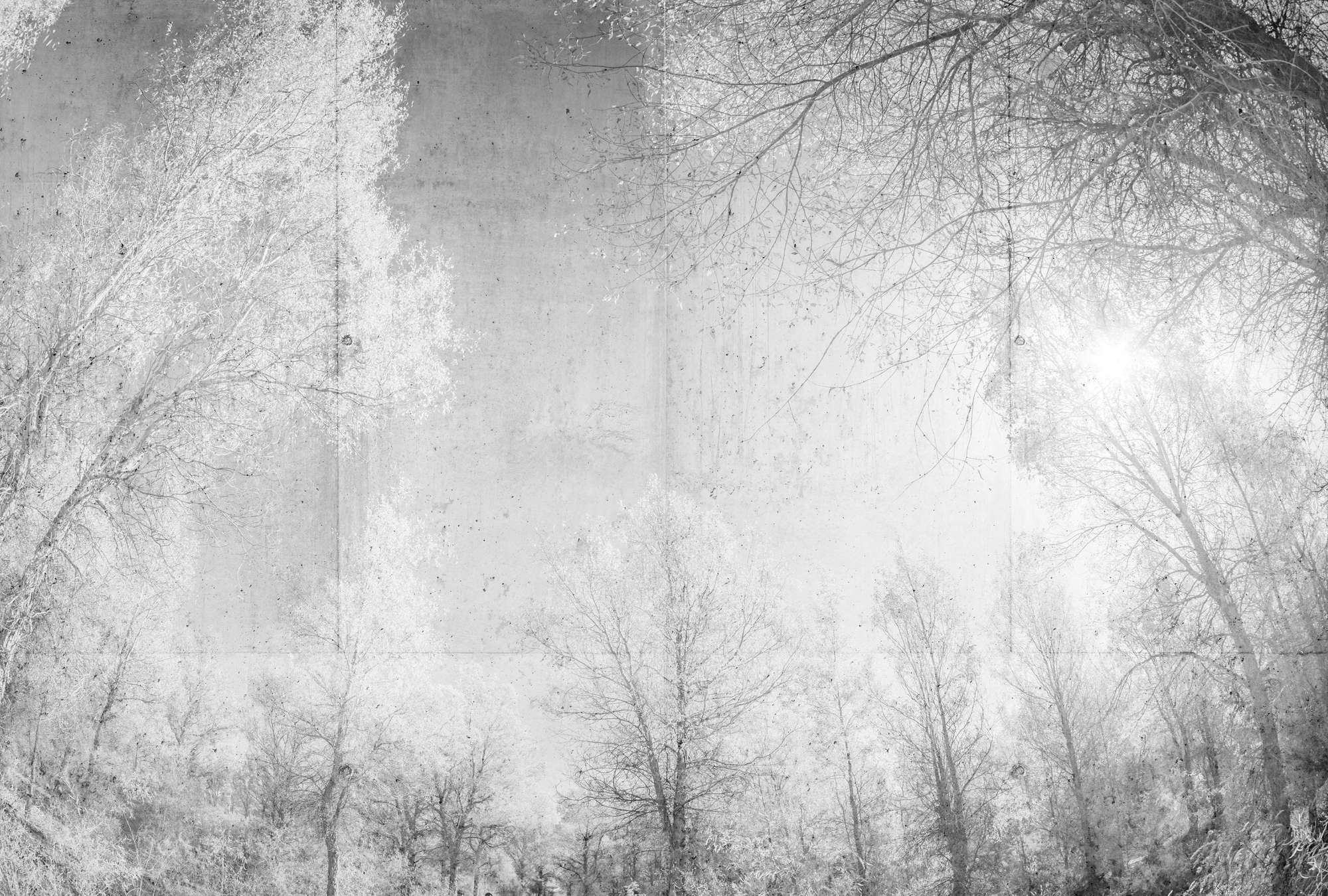 Natur, Draußen, Wetter, Textur, Eis