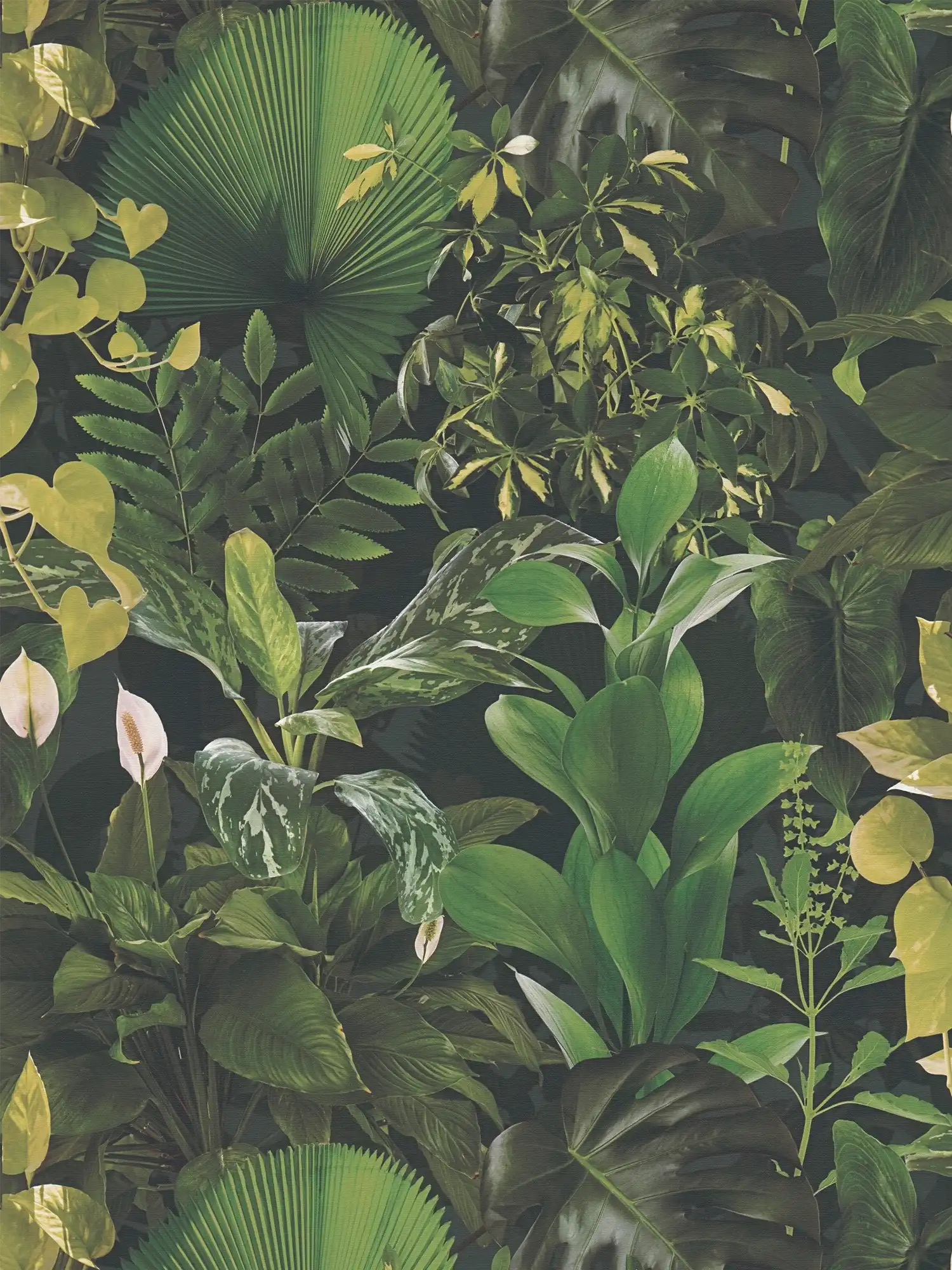         Blätterwald non-woven wallpaper - green, black
    