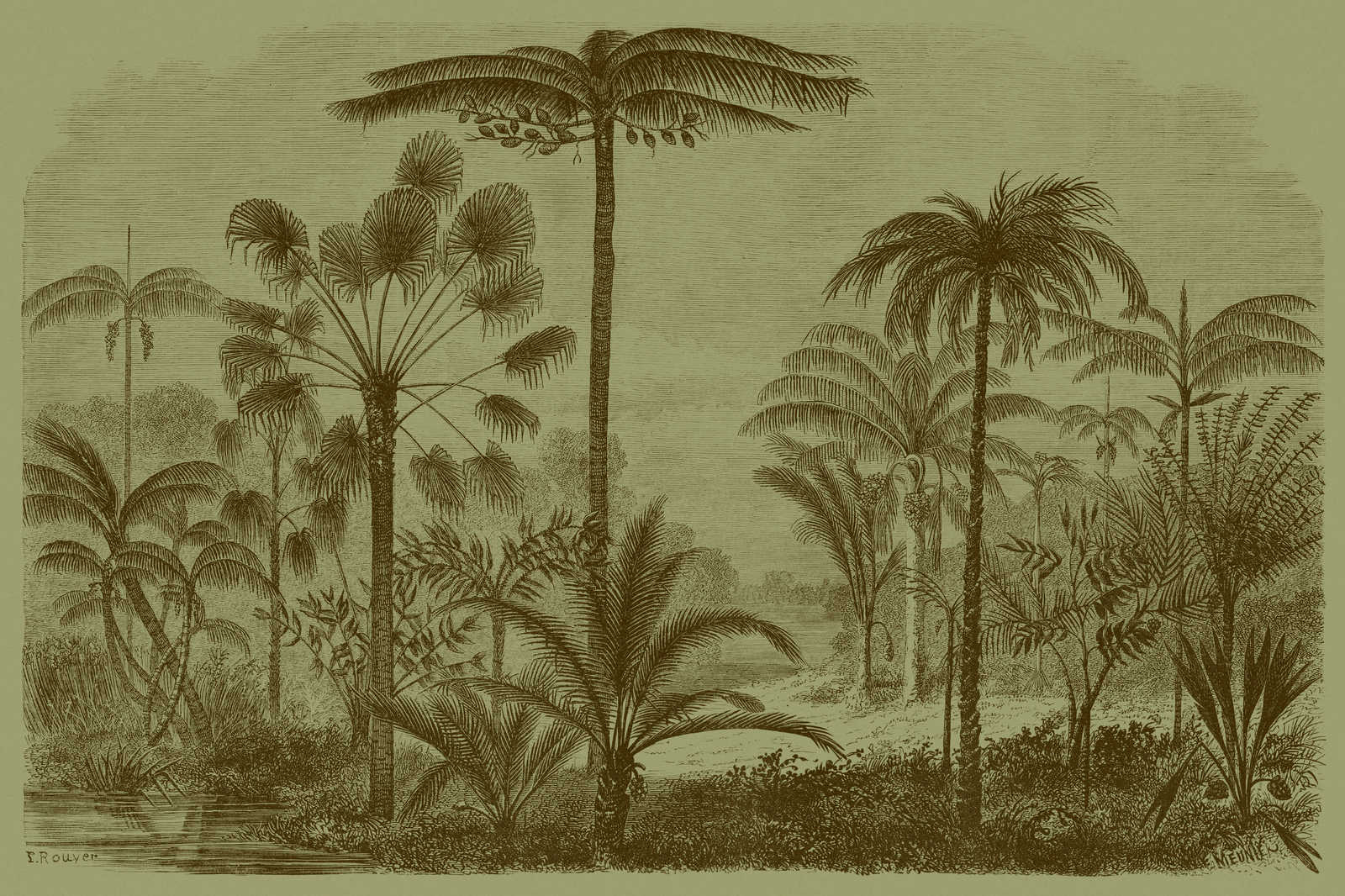 Jurassic 1 - Leinwandbild Dschungelmotiv Kupferstich – 0,90 m x 0,60 m