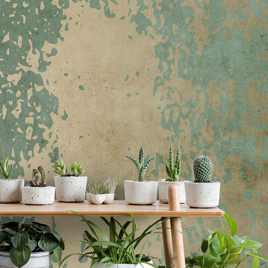 Pflanze, Architektur, Gebäude, Mauer, Topfpflanze