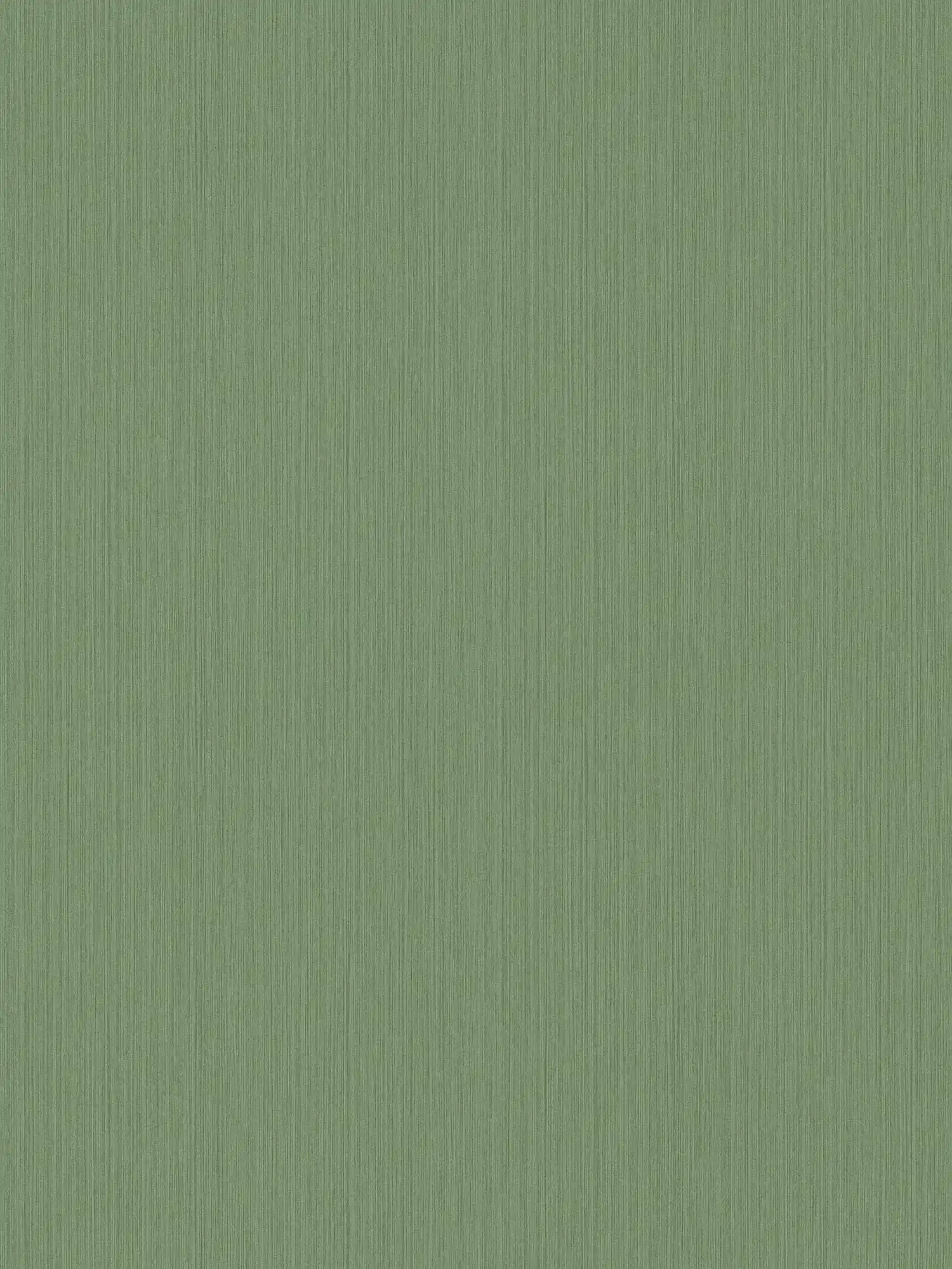         Einfarbige Tapete Grün mit meliertem Textileffekt von MICHALSKY
    