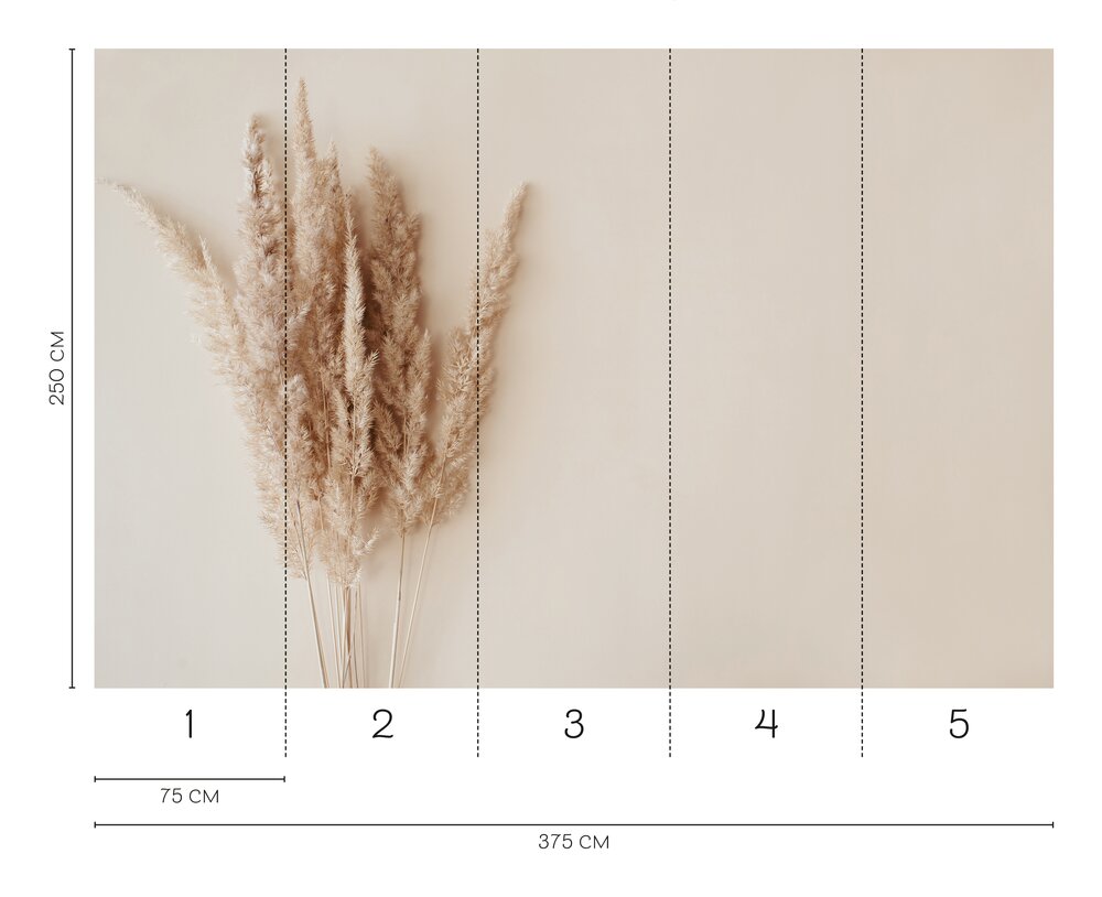             Elegante Pampasgras-Fototapete – Natürliche Ästhetik in warmen Erd-Tönen als Vliestapete – Bunt
        