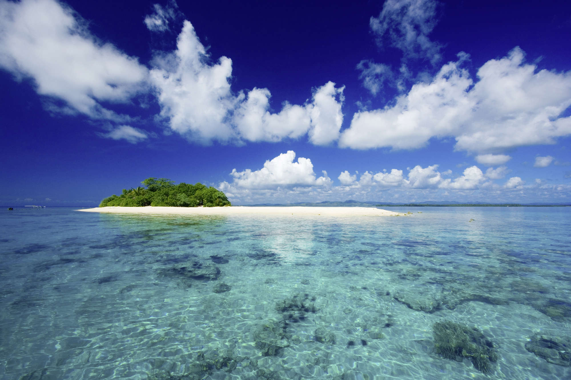 strand, insel, tropen, palmen, meerwasser
