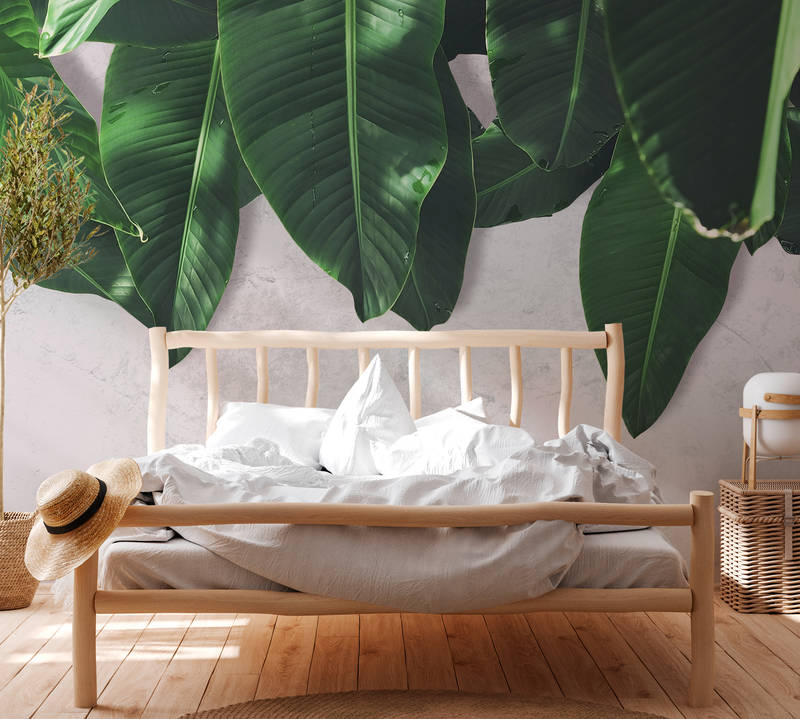             Palmblätter Fototapete Blätterwand – Grau, Grün
        