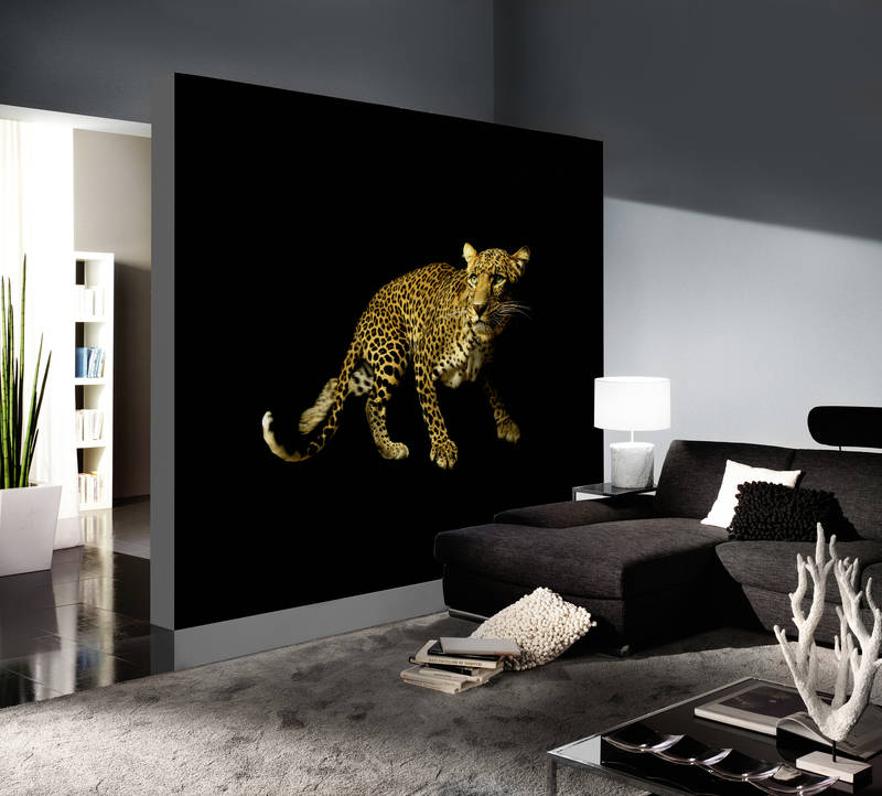 Leopard, Wandtapete, Tiermotiv, Dunkler Raum, Wohnzimmer-Dekoration