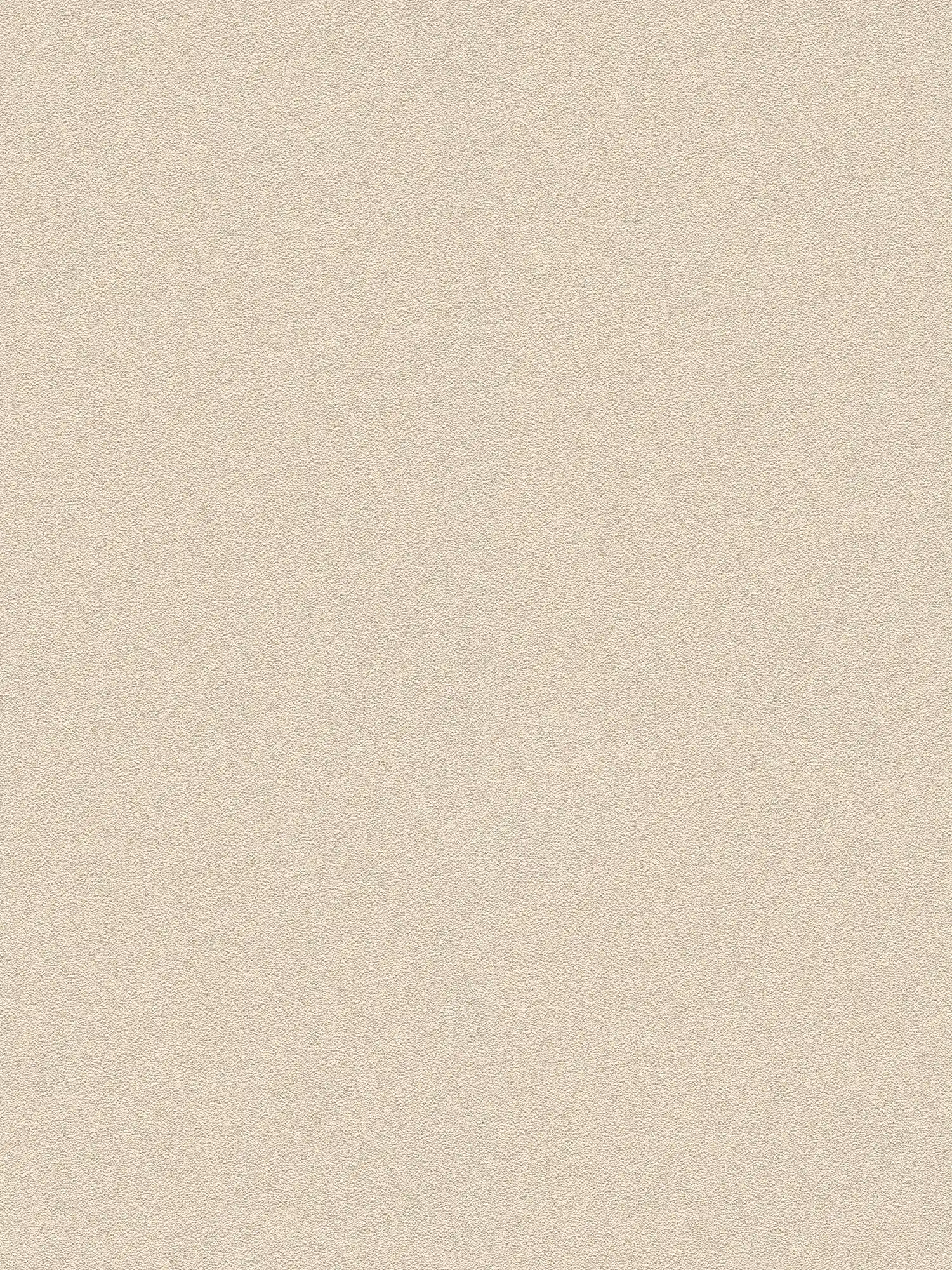             Unitapete natürliche Farbe und Strukturmuster – Beige
        