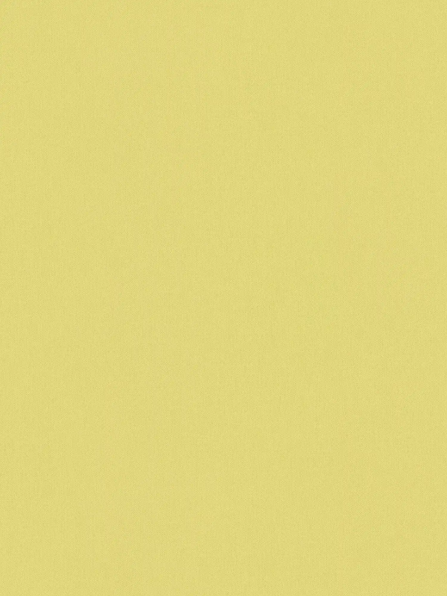         Hellgrüne Tapete mattes Uni Lindgrün mit Textilstruktur
    