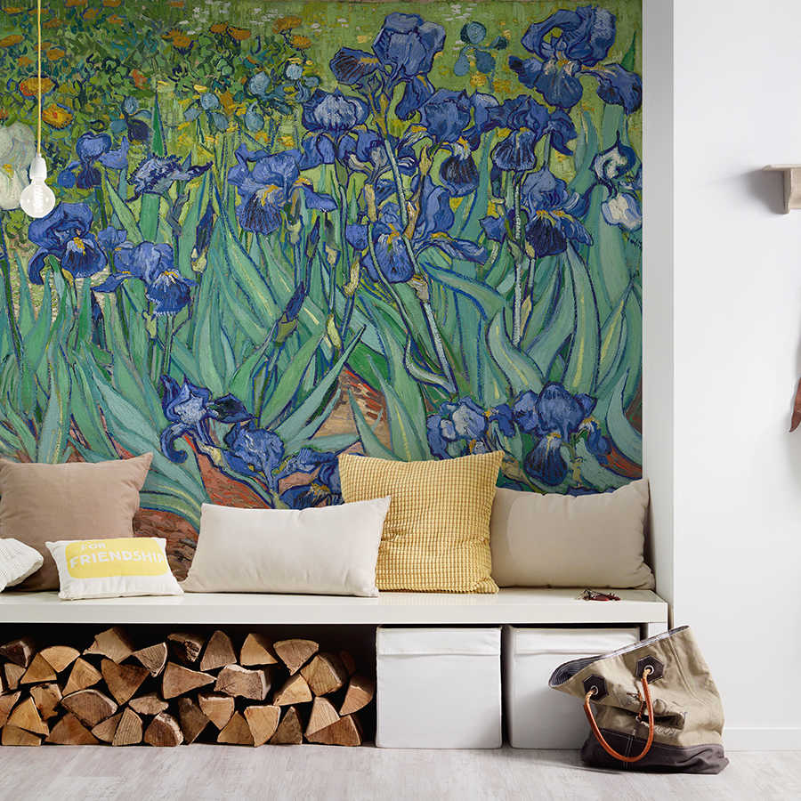irisens, iris, blumen, wandtapete, muster