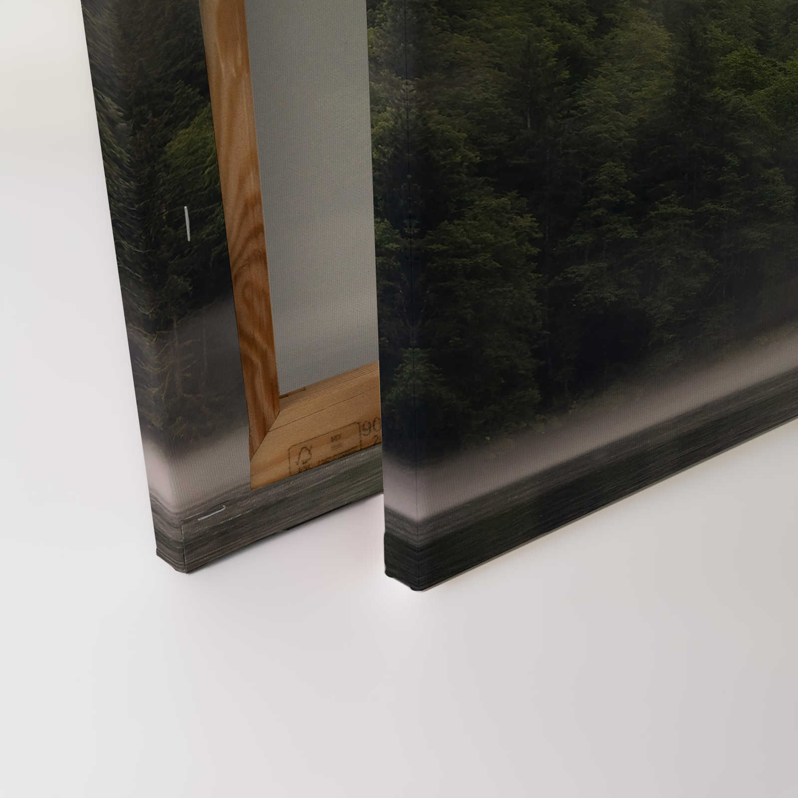             Leinwandbild vernebelter Wald am See – 0,90 m x 0,60 m
        