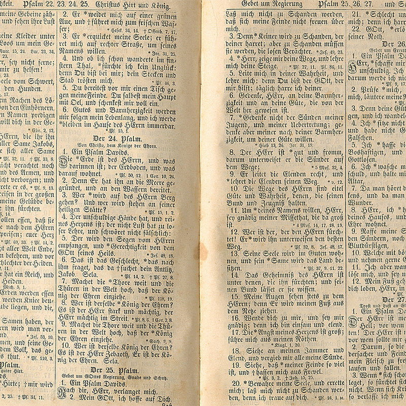 altes Buch, Bibelseiten, Deutscher Text, Doppelseite, antikdruck