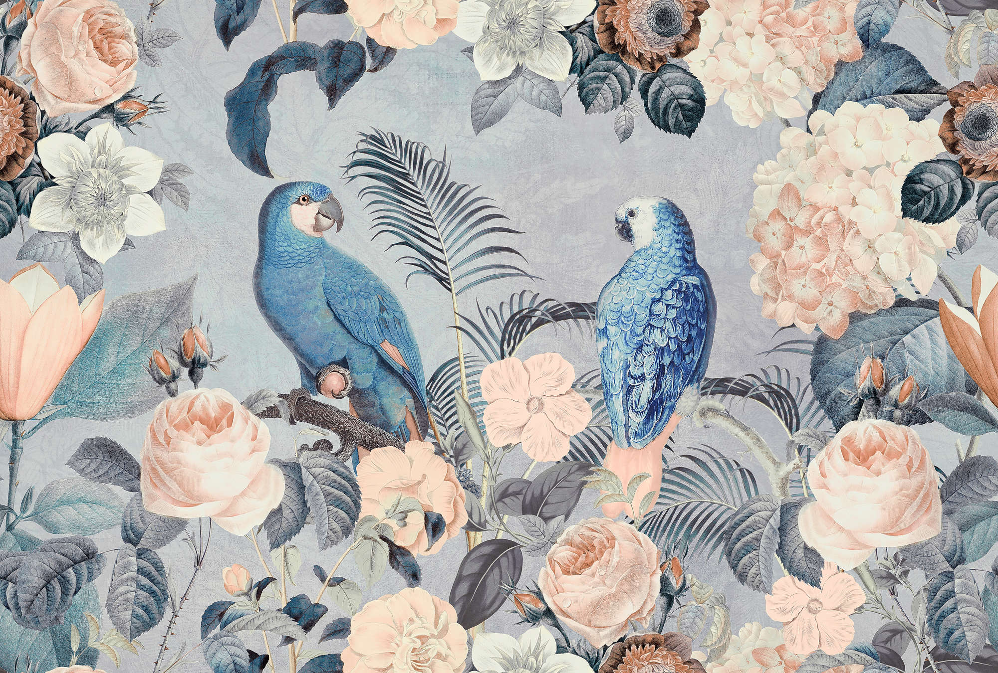 Fototapete Papageien Rendezvous mit Blumendesign – Grün