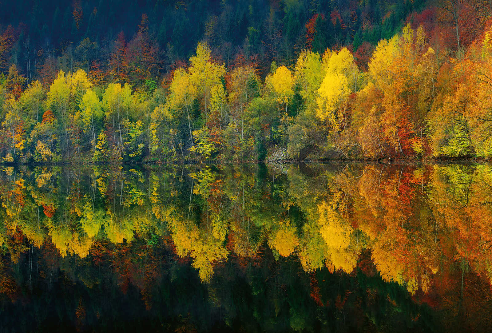         Photo wallpaper forest on the lake in autumn - yellow, orange, green
    