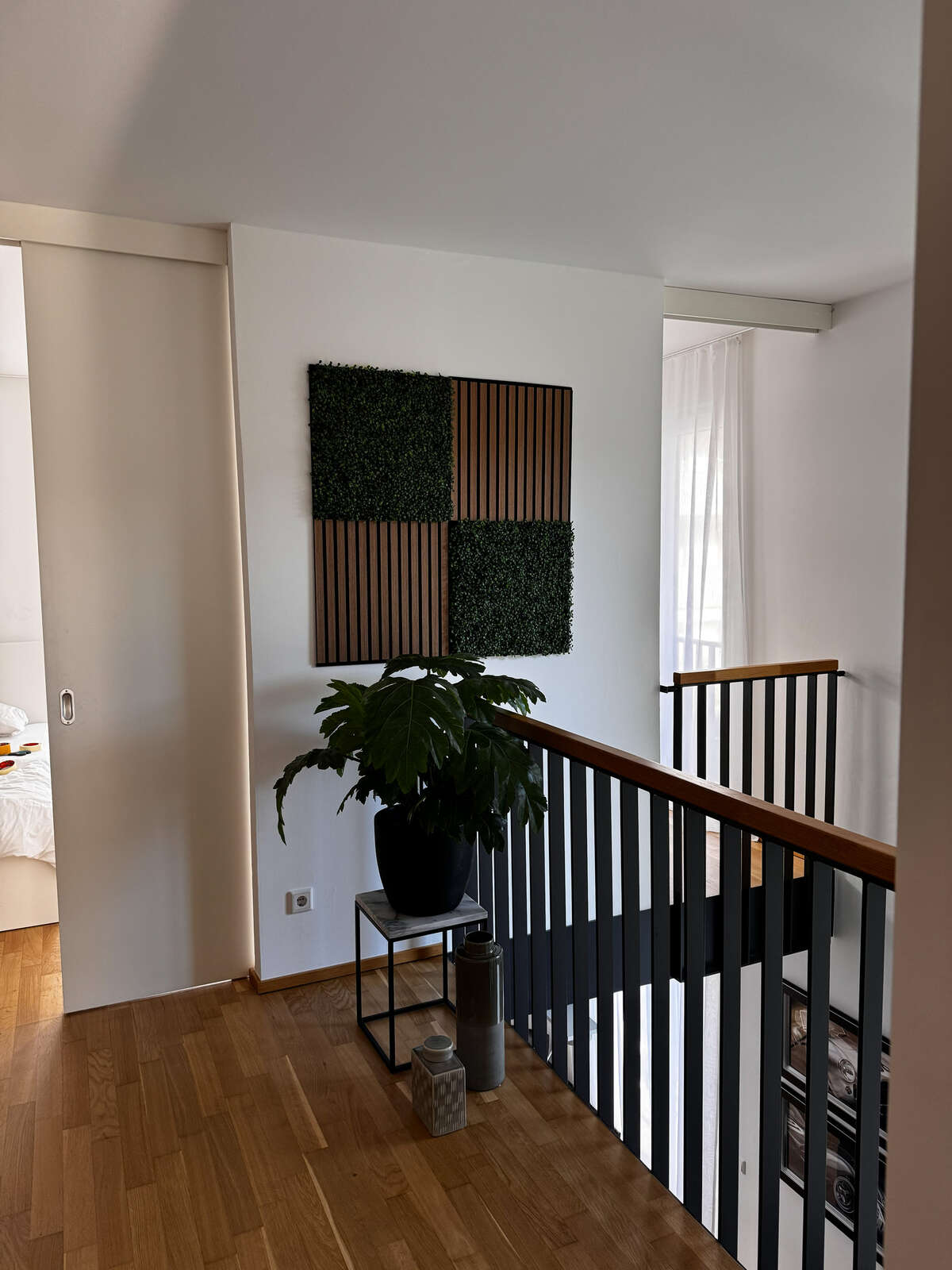 pflanze, topfpflanze, raumeindruck, künstlerische wanddekoration, holzboden