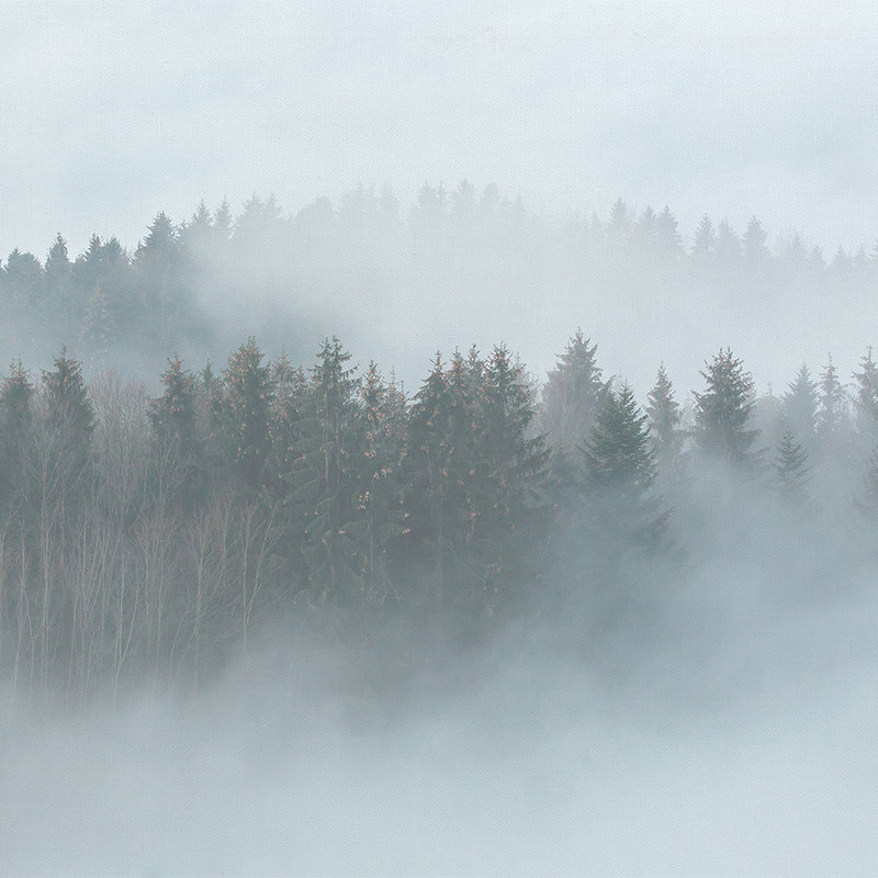 Natur, Draußen, Wetter, Nebel, Dunst