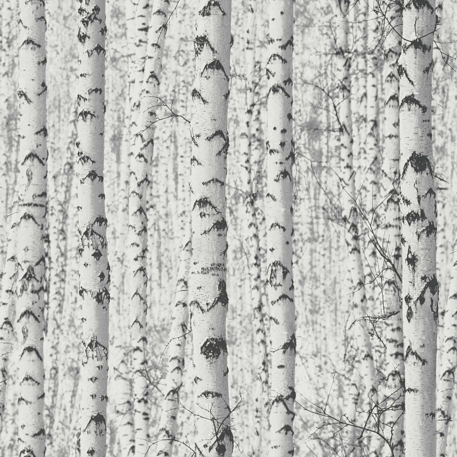         Selbstklebendes Panel Birkenwald – Stilvolle Naturkulisse in monochromem Design – Weiß, Grau, Schwarz
    