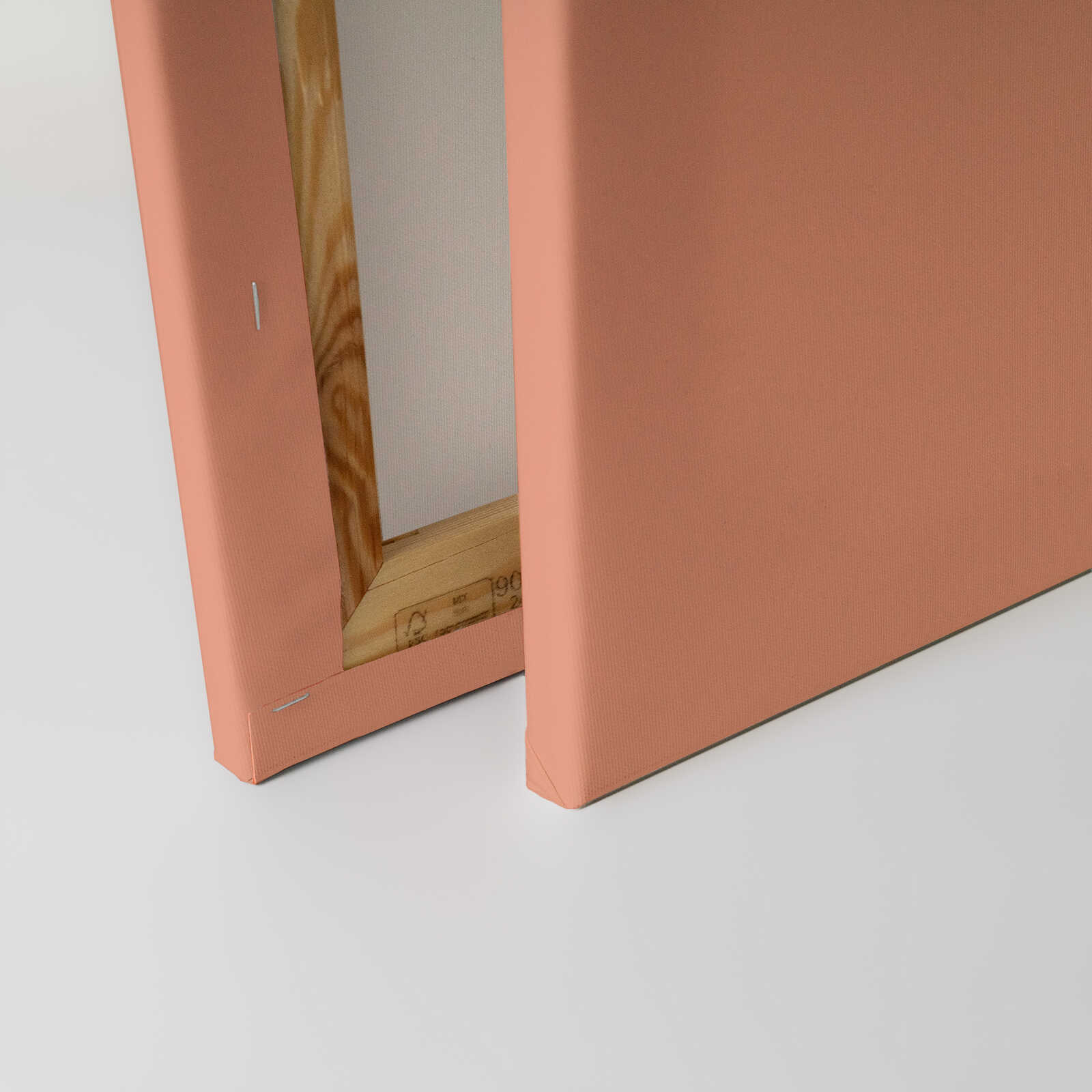             Blah Blah Blah Leinwandbild mit diagonalem Design – 30 x 45 cm - Orange, Rosa
        