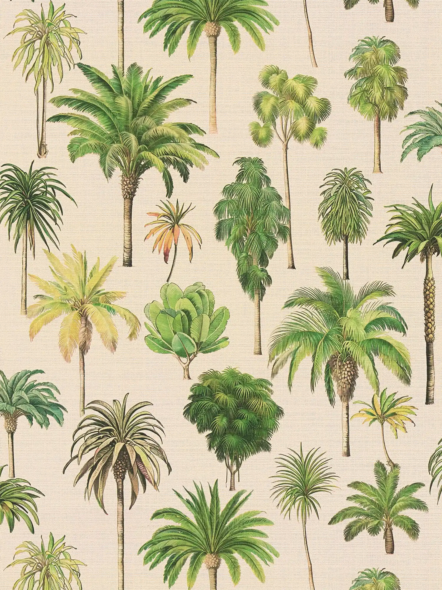 Tropische Vliestapete mit exotischen Palmen in matter Optik und leichter Struktur – Beige, Creme, Grün