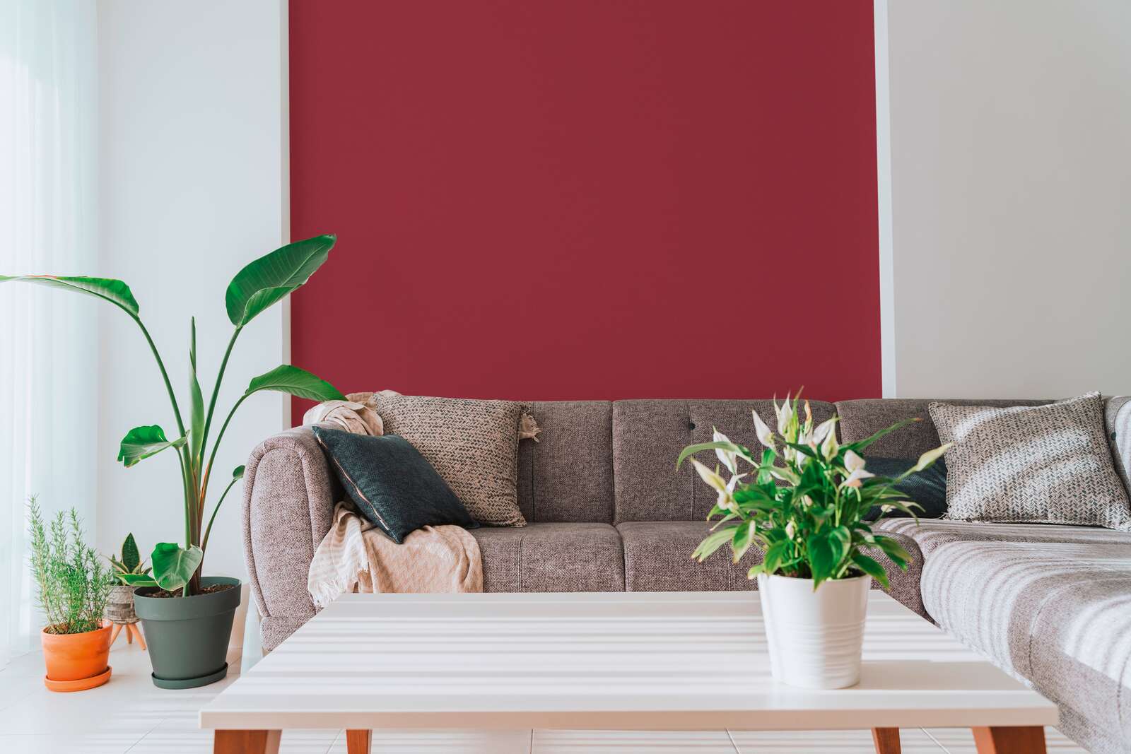 Innenarchitektur, Tabelle, Pflanze, Dekoration für Zuhause, Couch