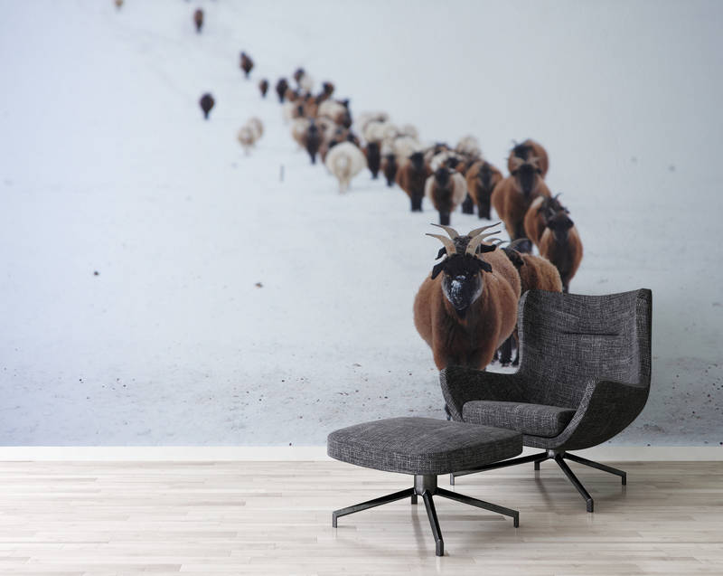 wildlife, herd, reindeer, snow, chair set