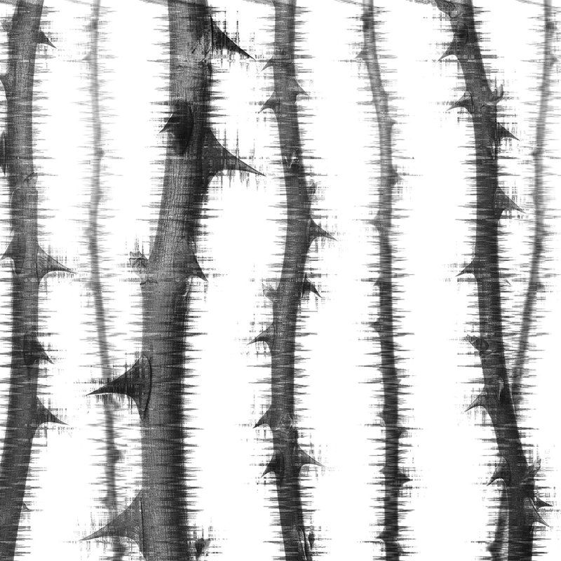 Pflanze, Baum, Baumstamm