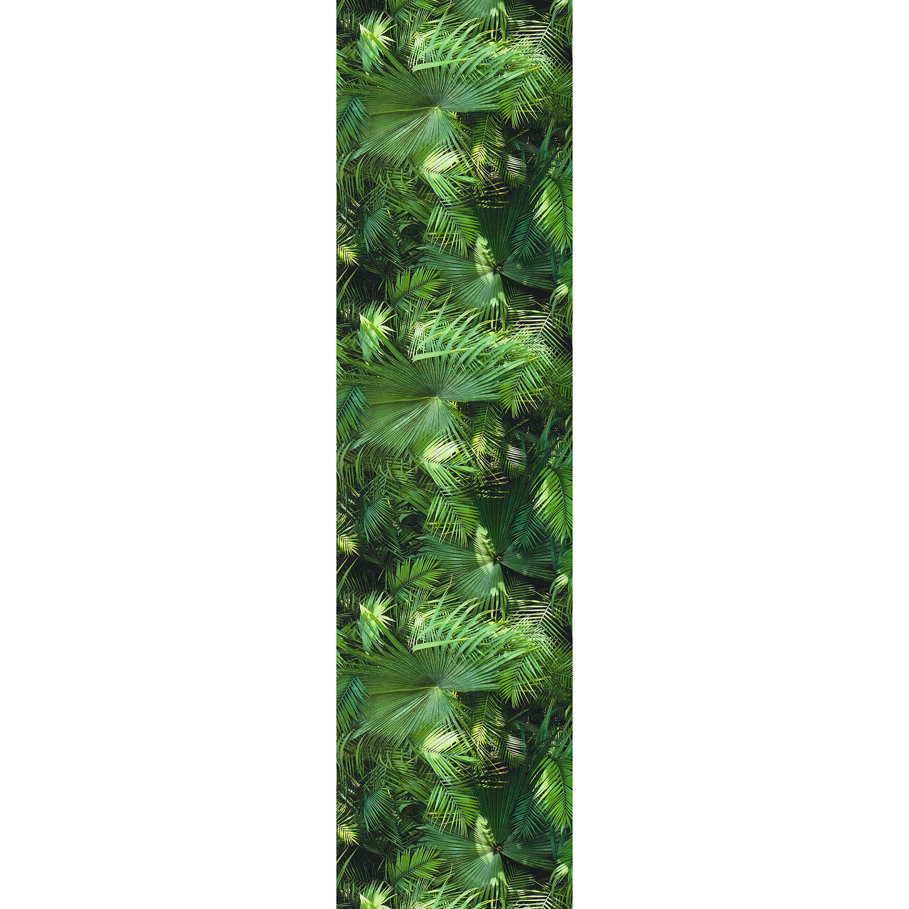         Dschungel Tapete mit tropischen Farnen – Grün, Schwarz
    