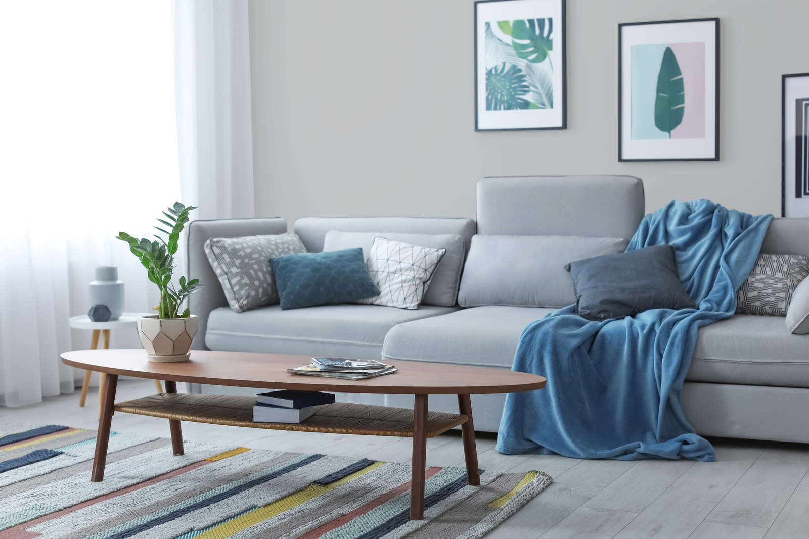 sofa, wohnzimmer, kissen, couchtisch, pflanze