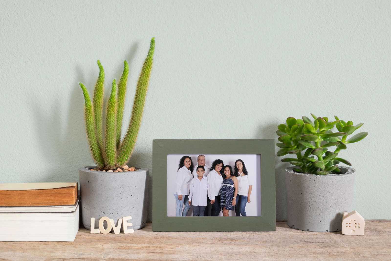 pflanzen, topfpflanze, succulent, fotoecke, deko