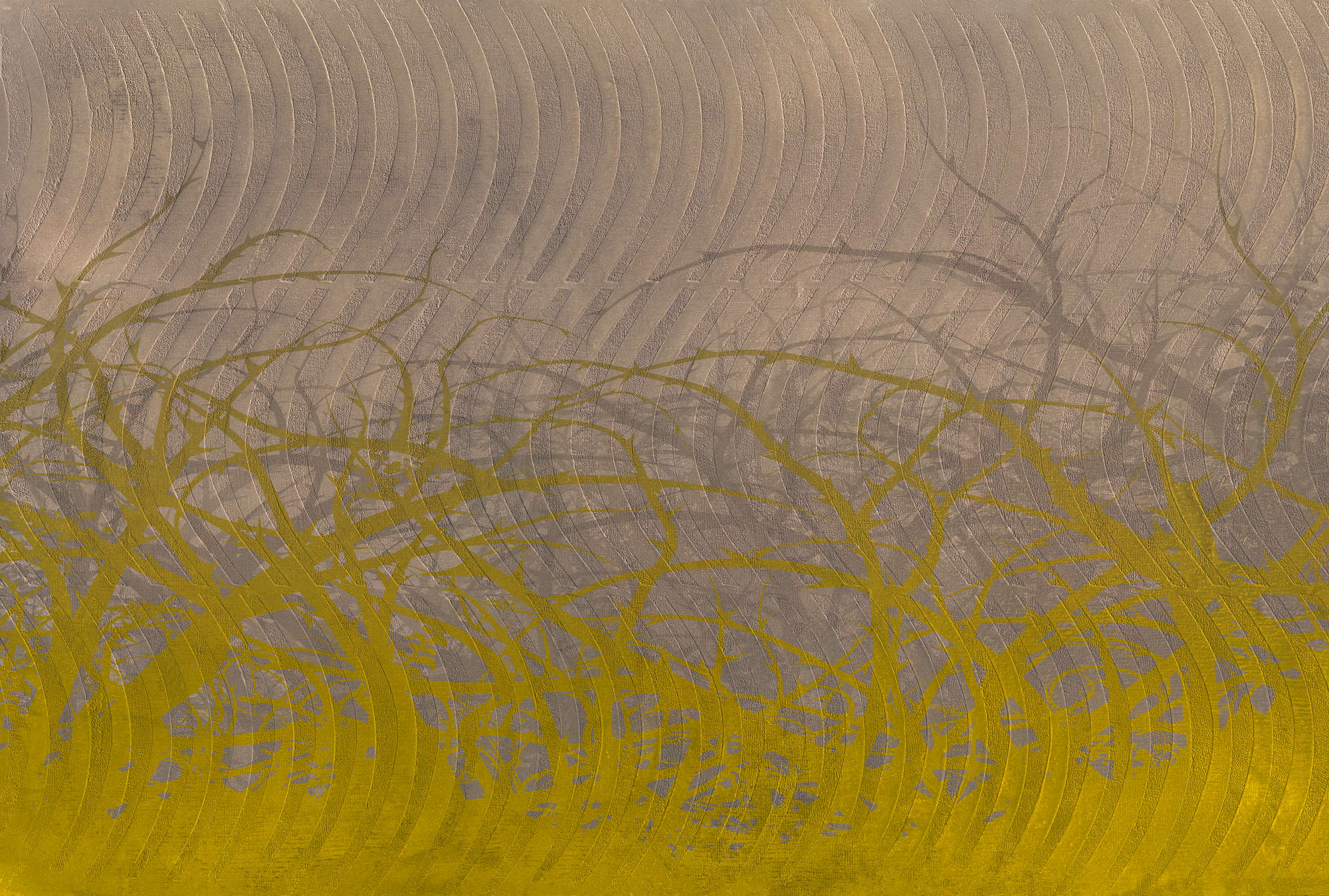 Natur, Draußen, Wetter, Textur, Gras