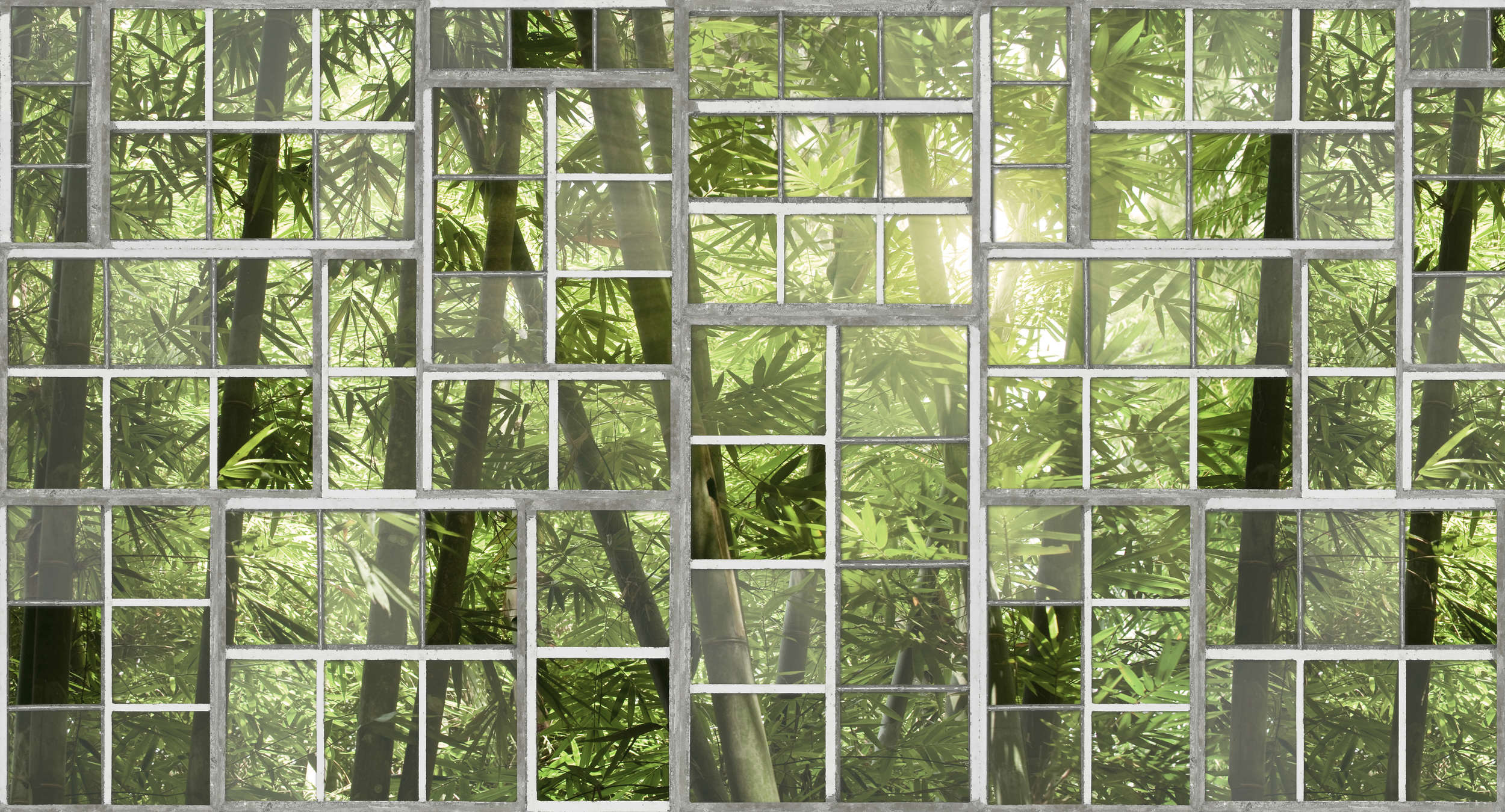 Pflanzenwuchs, Collage, Regenwald, Dschungel, Aluminium