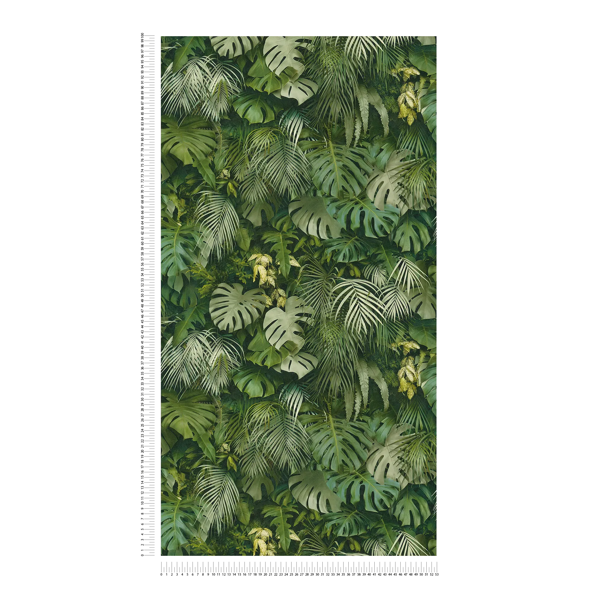             Wallpaper green forest of leaves, realistic, colour accents - green
        