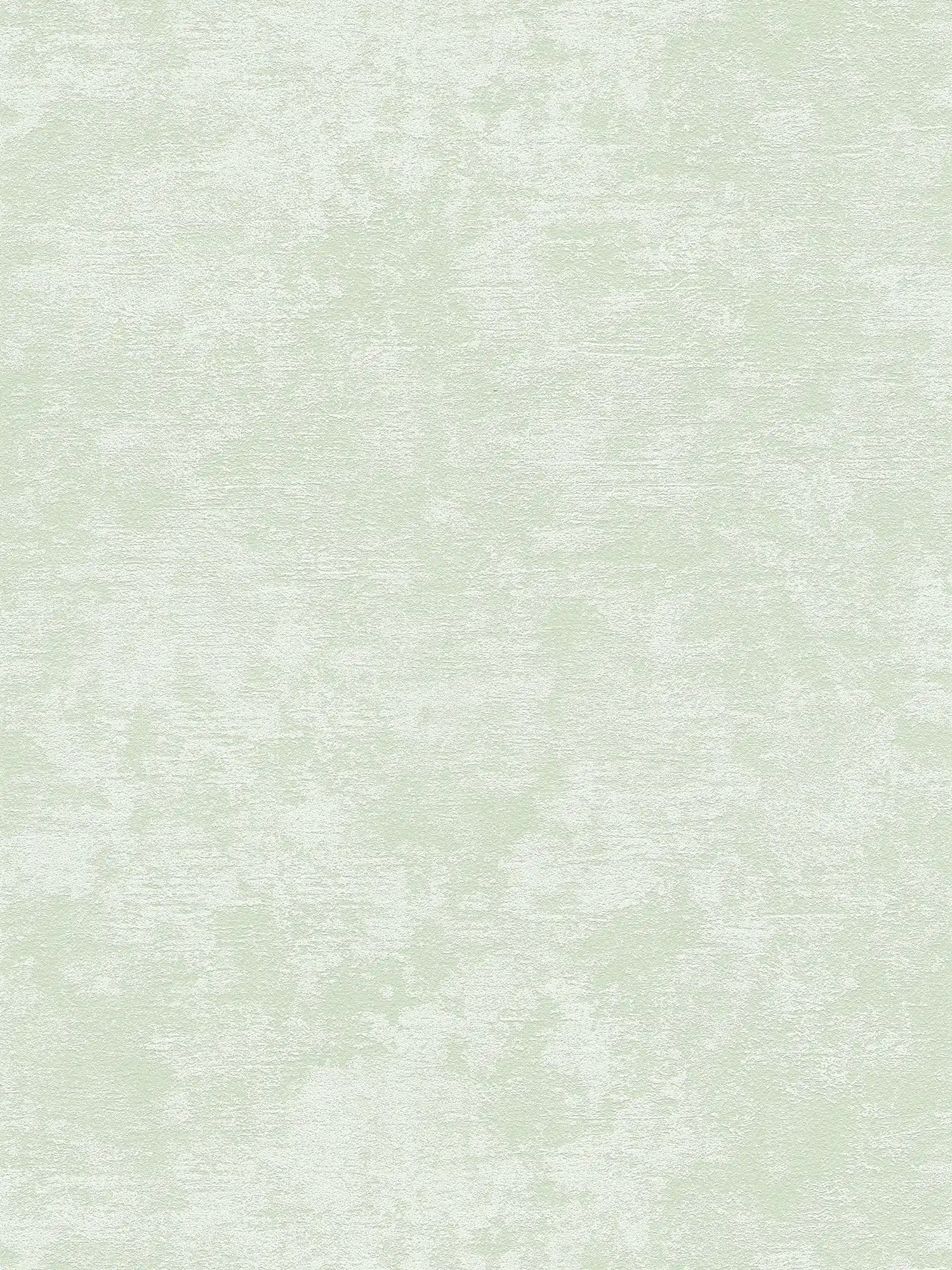         Vliestapete mit Putzstruktur & Textureffekt – Grün
    