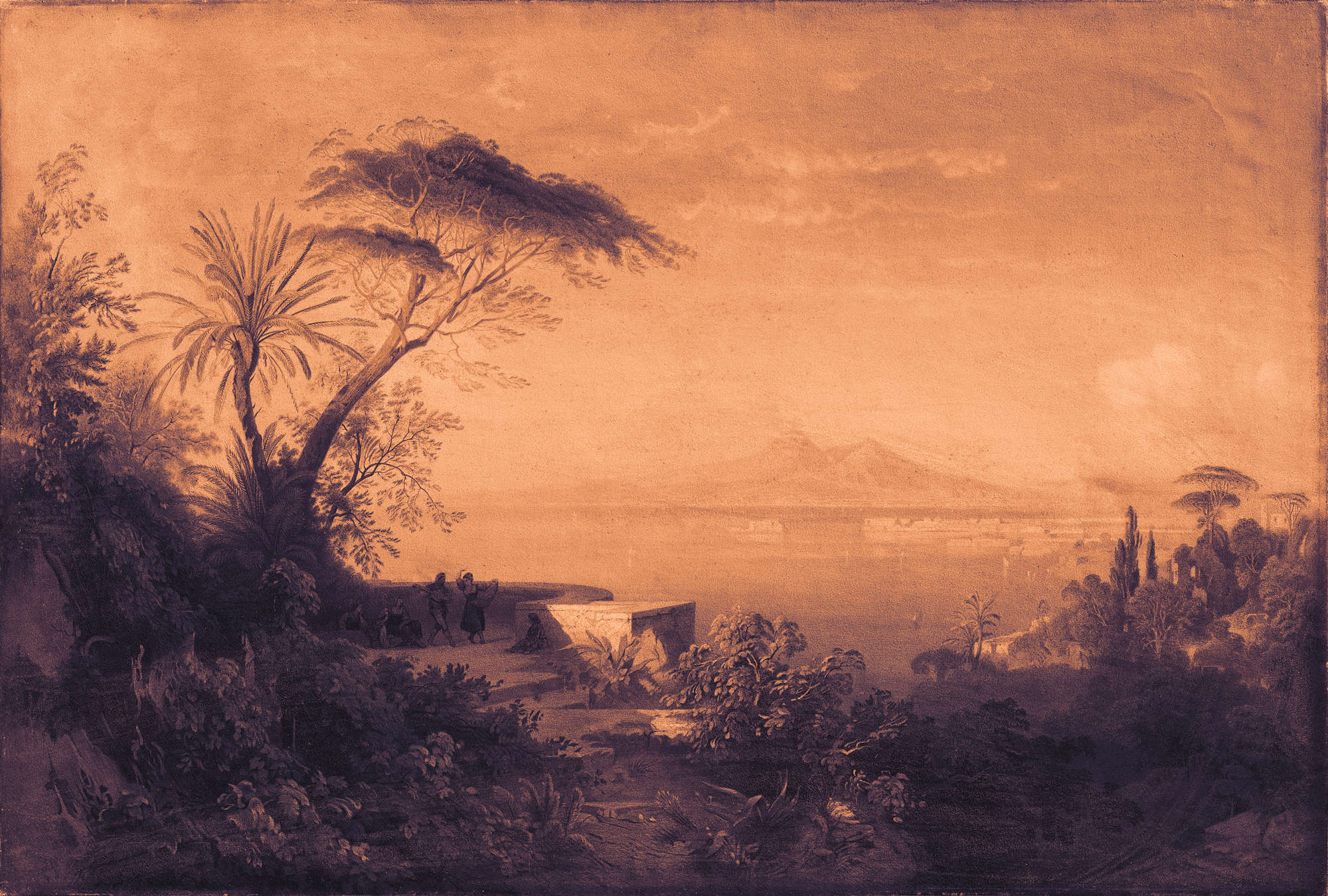 landschaft, tropisch, palmen, küste, silhouette