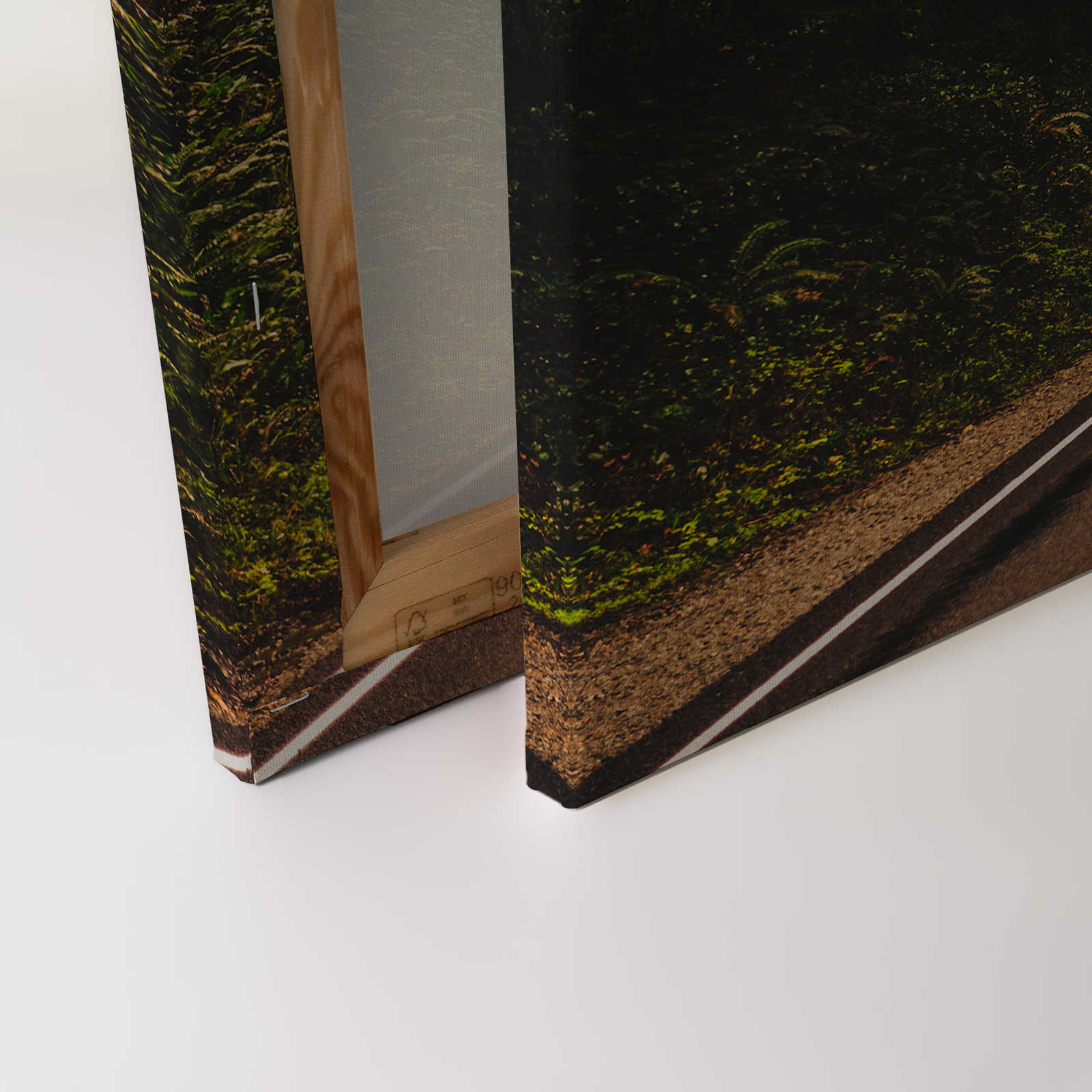             Leinwand mit American Highway im Wald – 0,90 m x 0,60 m
        