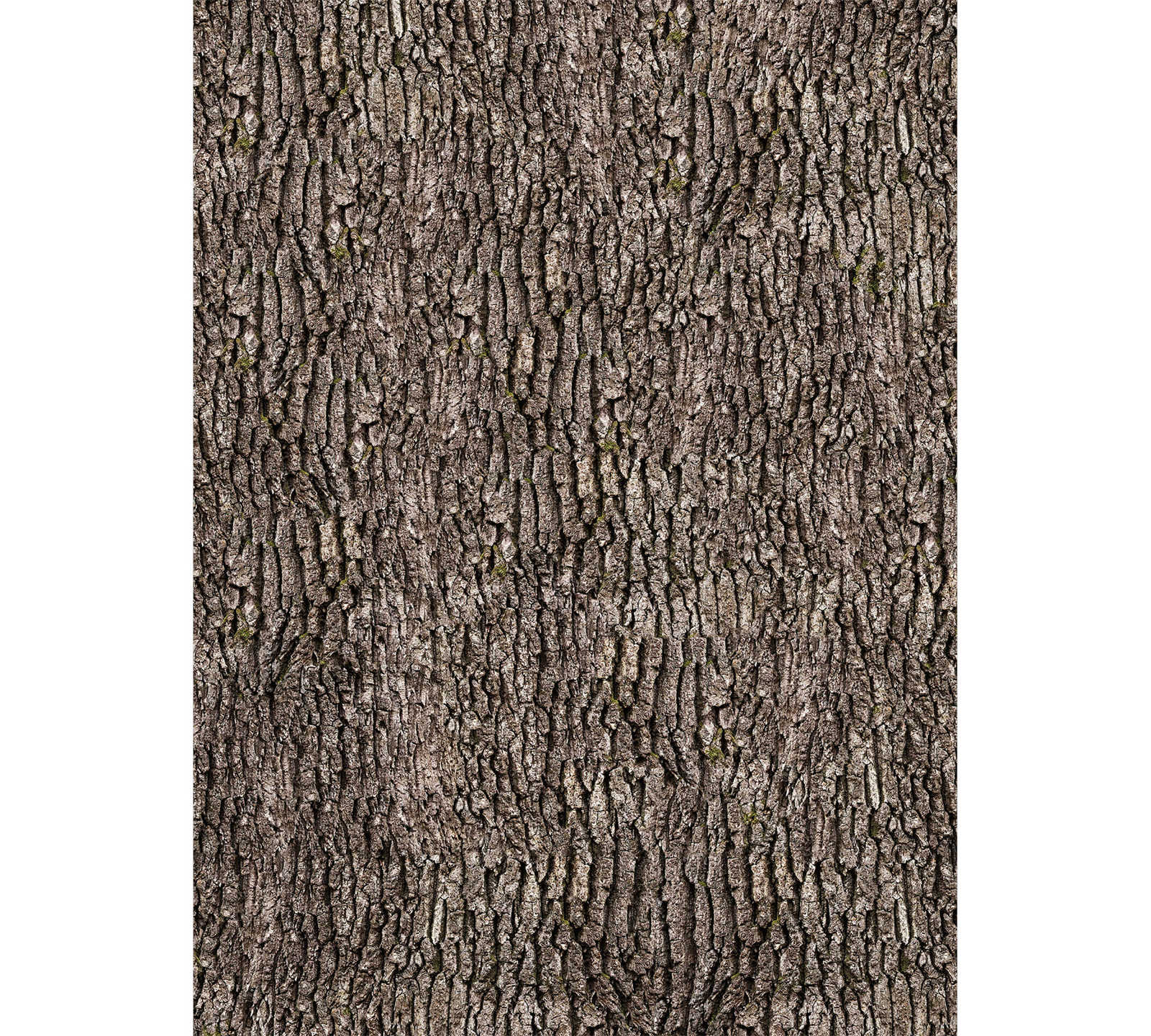         narrow wall mural with bark wall - brown
    