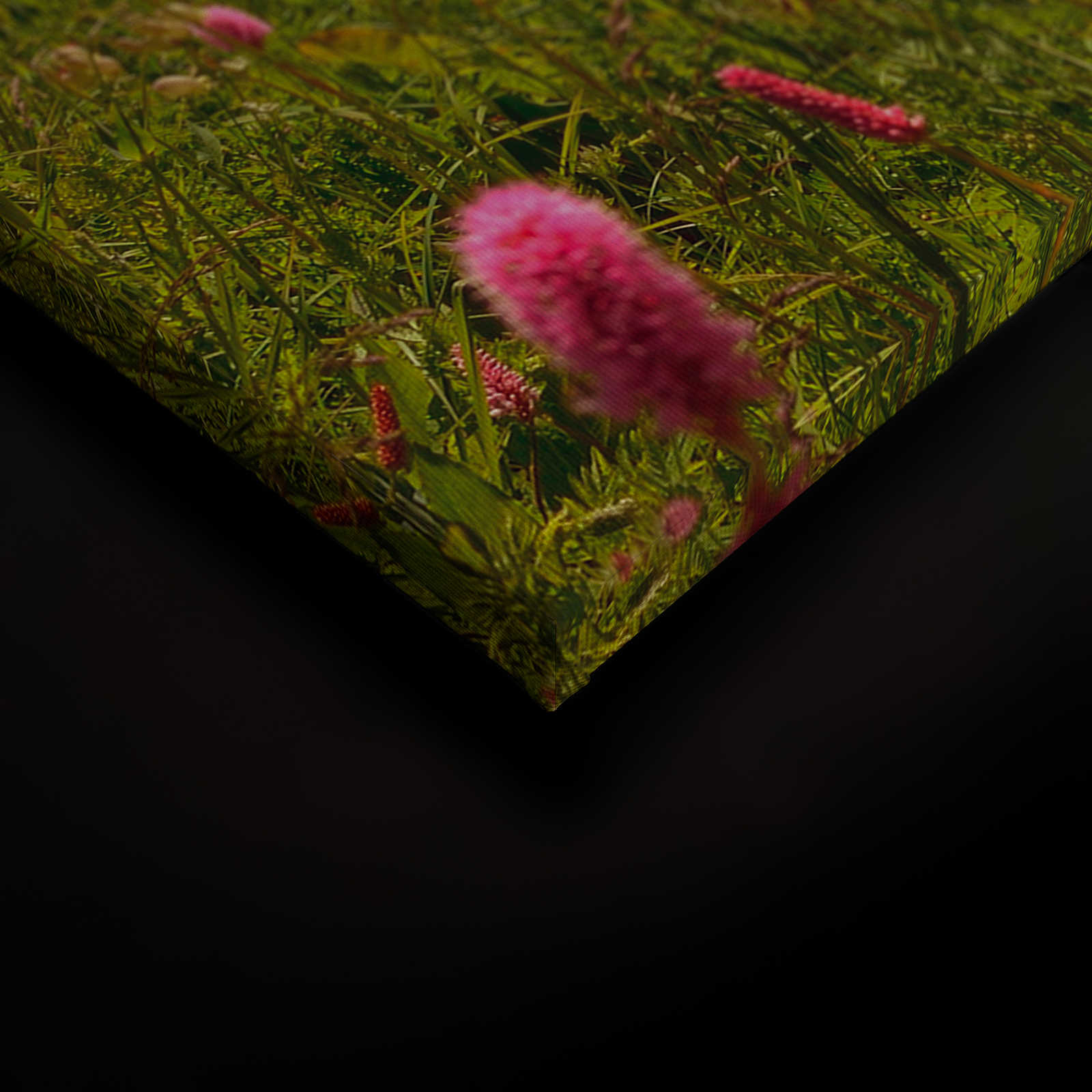             Natur Leinwandbild Wiesen- und Berglandschaft – 0,90 m x 0,60 m
        