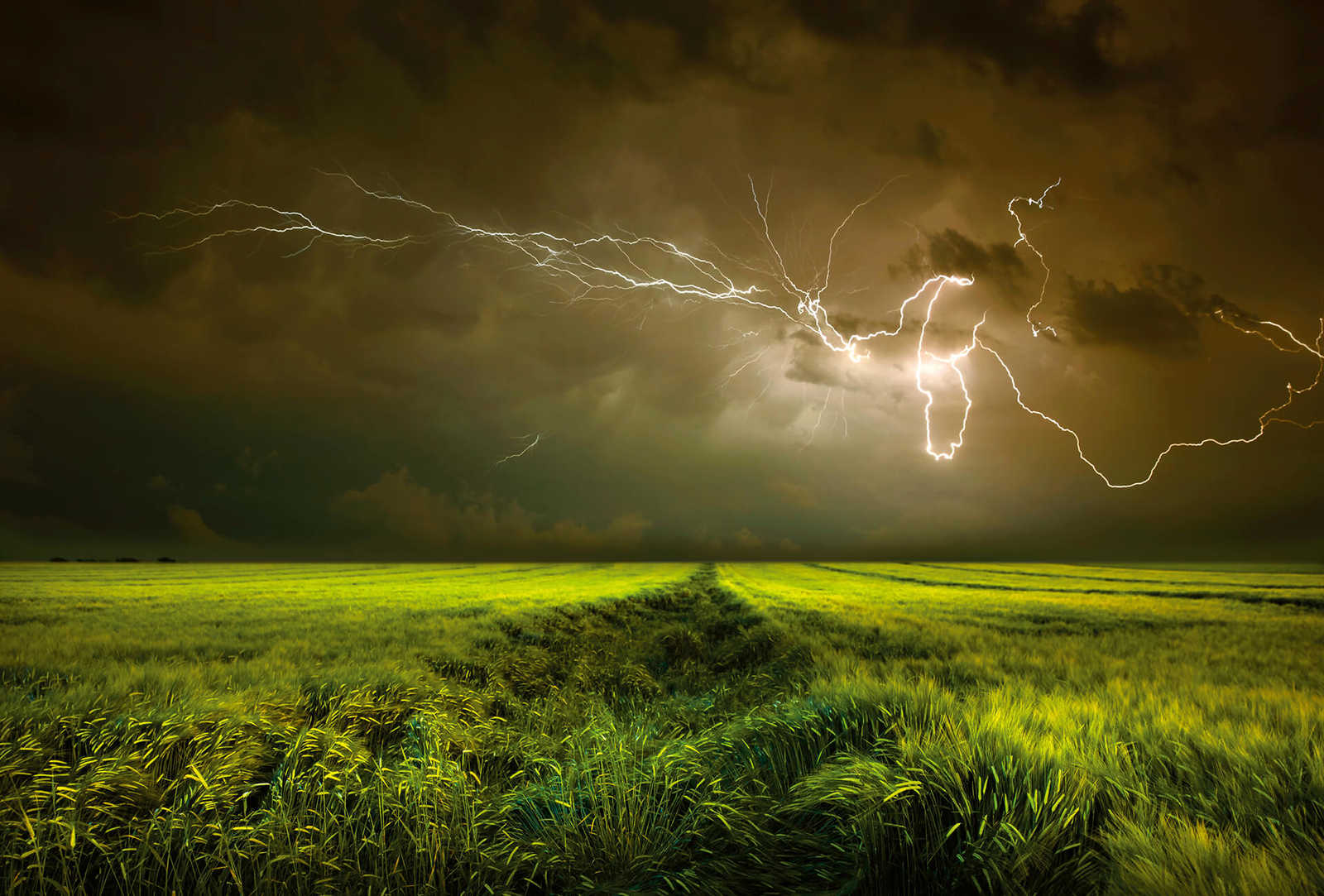         Photo wallpaper Field in storm with lightning - Green, Brown
    