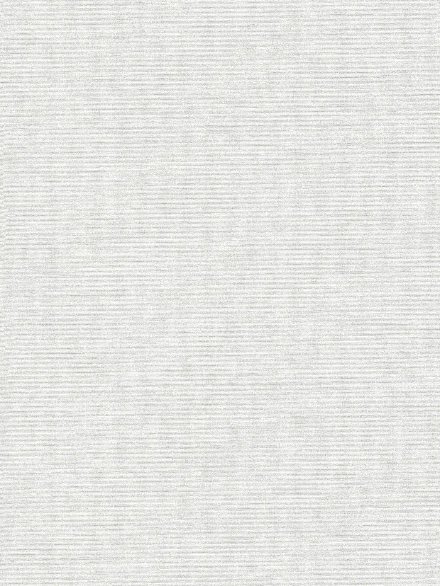         MICHALSKY Vliestapete uni mit Textiloptik in sanften Farbton – Weiß
    