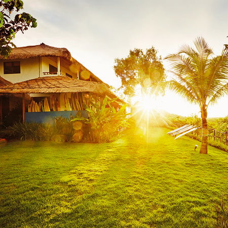 villa, Hütte, Reetdach, Sonnenuntergang, Garten