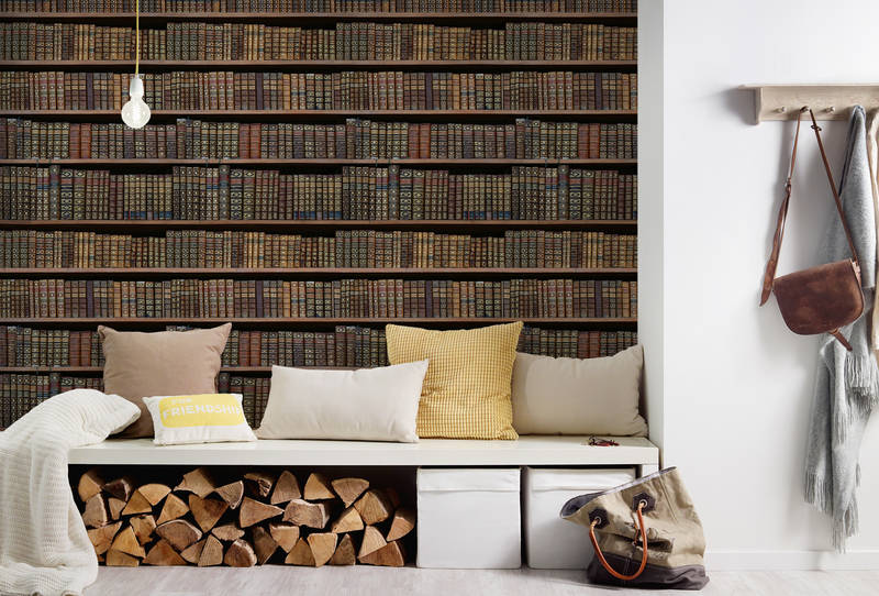 sofa, Kissen, Schwellenbank?, Holzscheite, Aufhängung